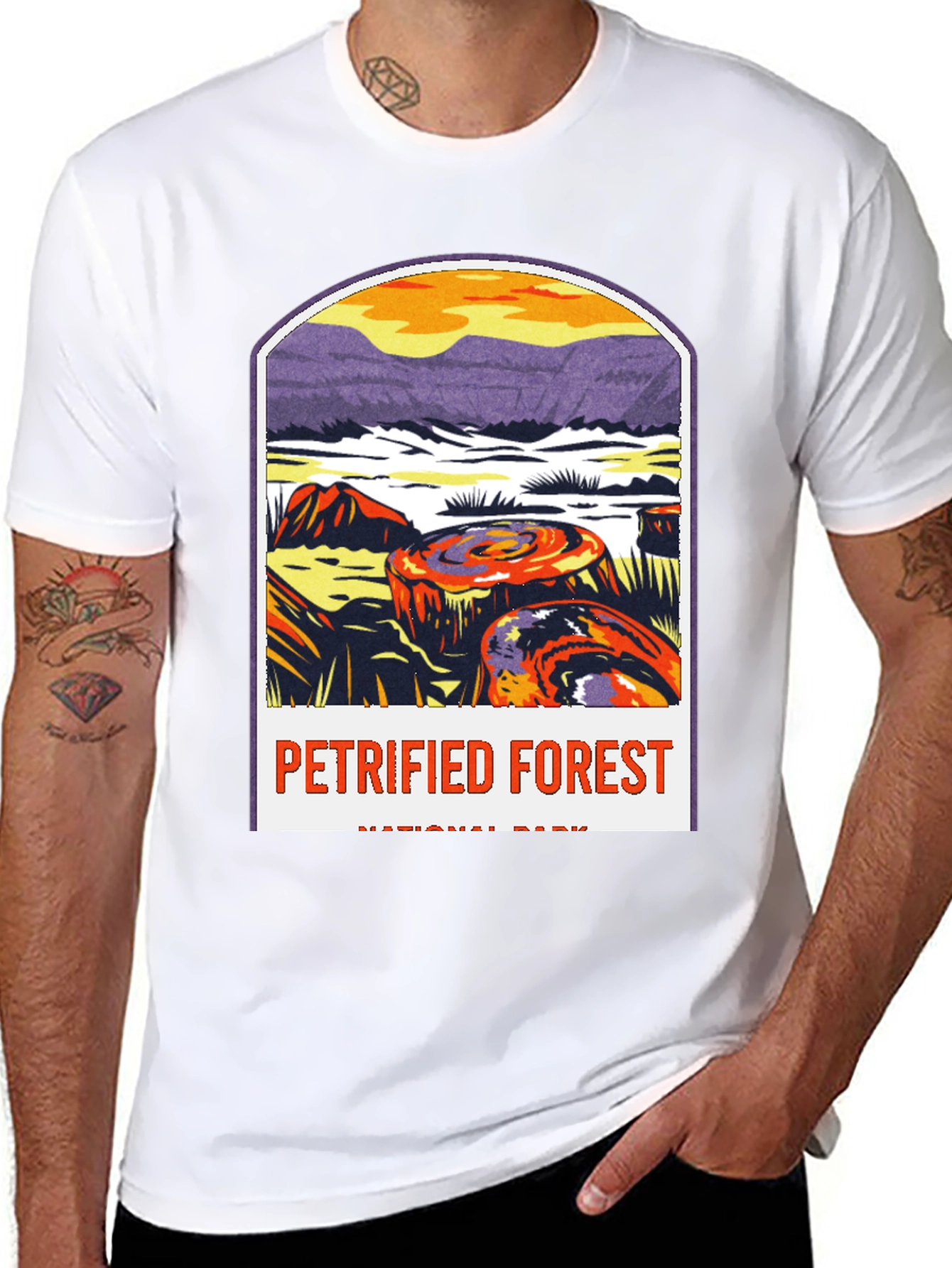 Petrified Forest National Park Graphic Tee
