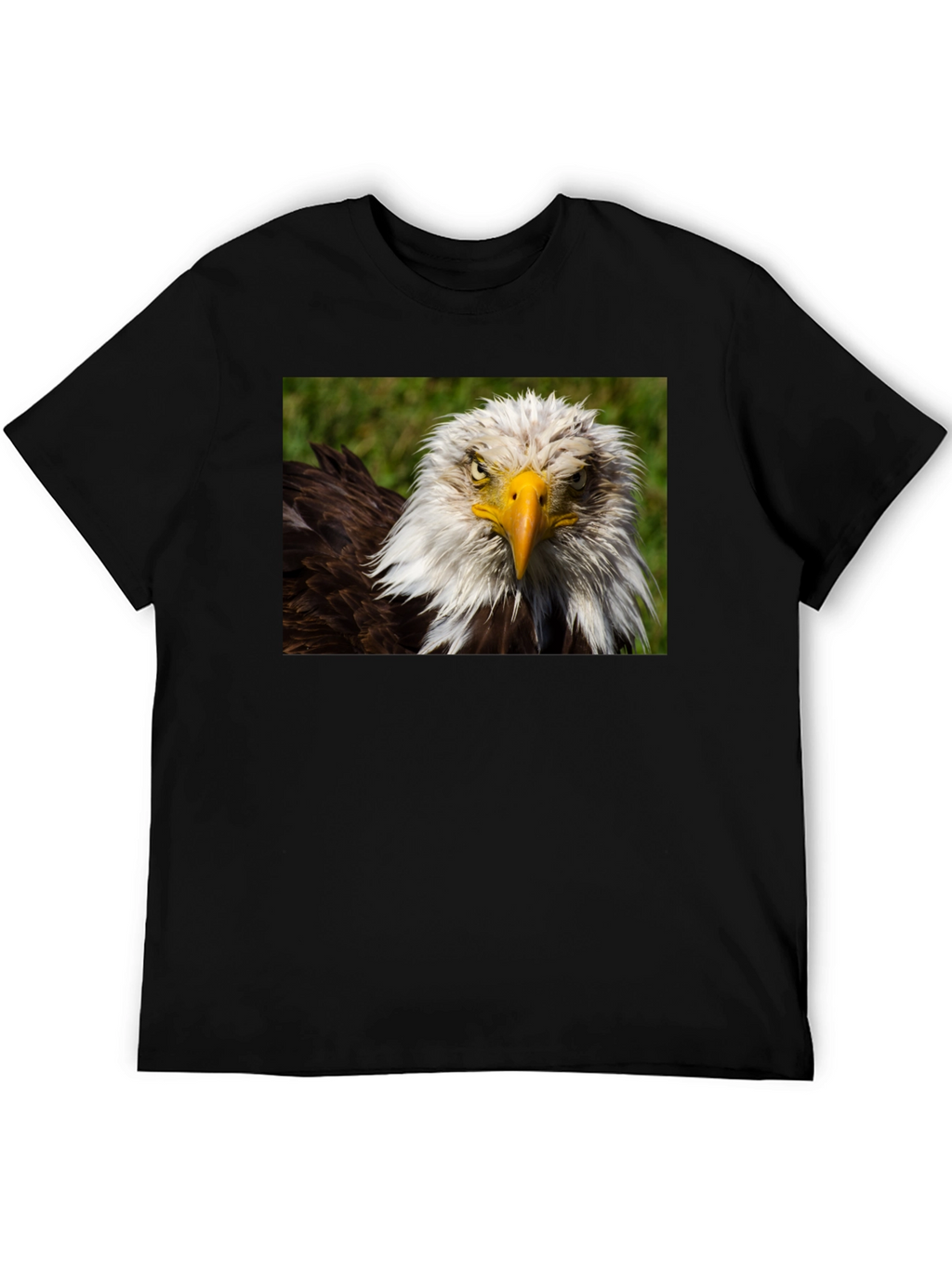 Bald Eagle Graphic T-Shirt - Bold American Style