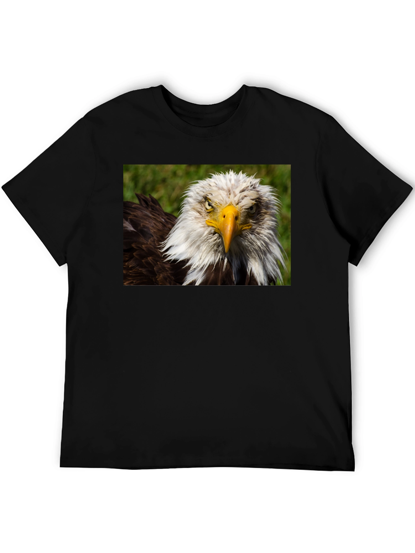 Bald Eagle Graphic T-Shirt - Bold American Style