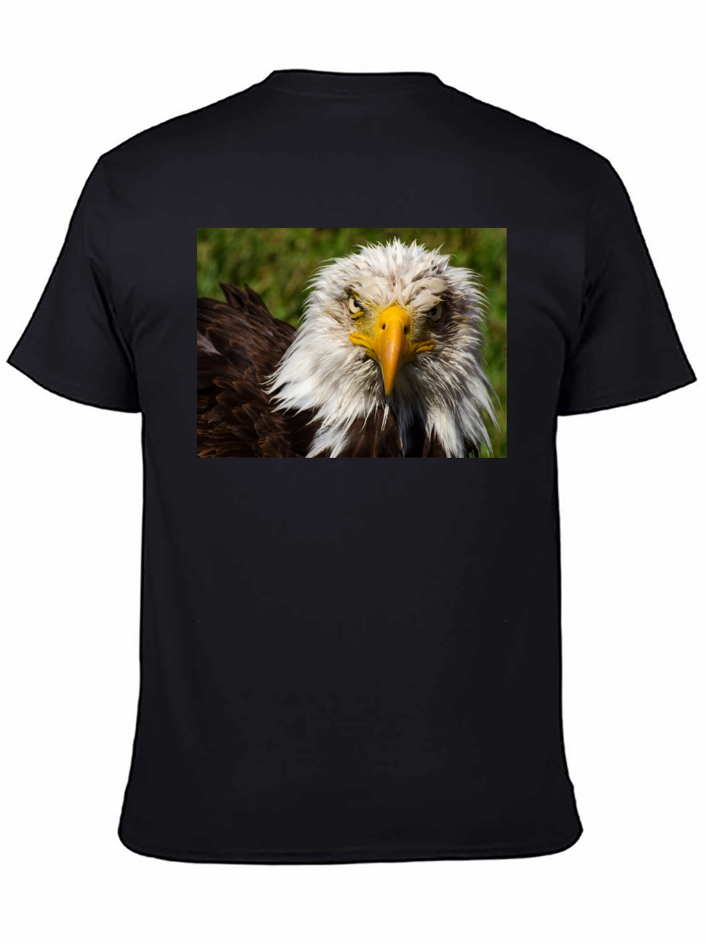 Bald Eagle Graphic T-Shirt - Bold American Style