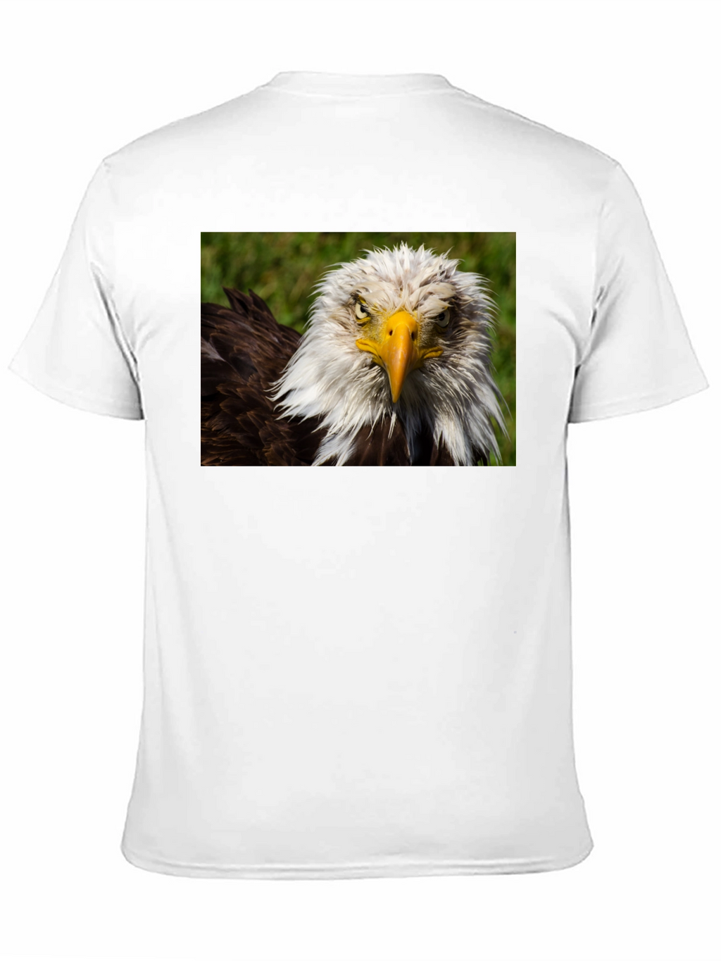 Bald Eagle Graphic T-Shirt - Bold American Style