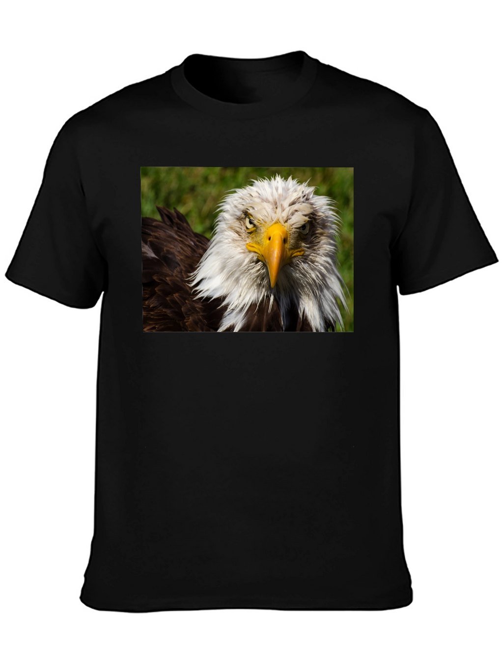Bald Eagle Graphic T-Shirt - Bold American Style