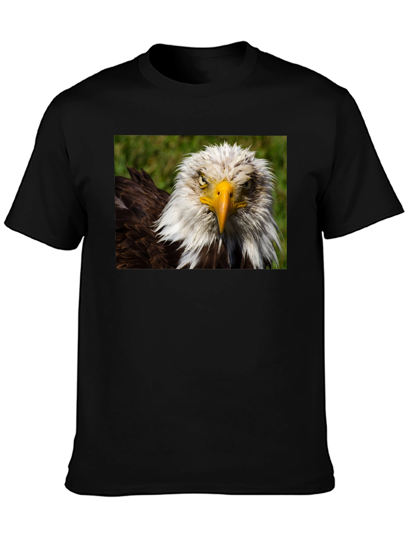 Bald Eagle Graphic T-Shirt - Bold American Style