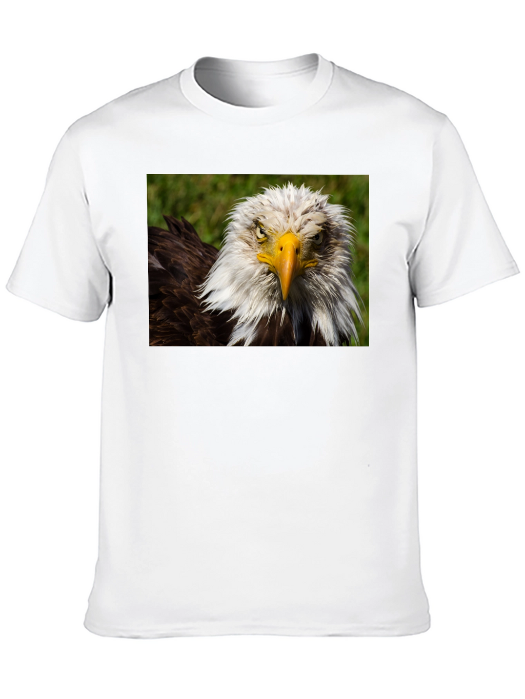 Bald Eagle Graphic T-Shirt - Bold American Style