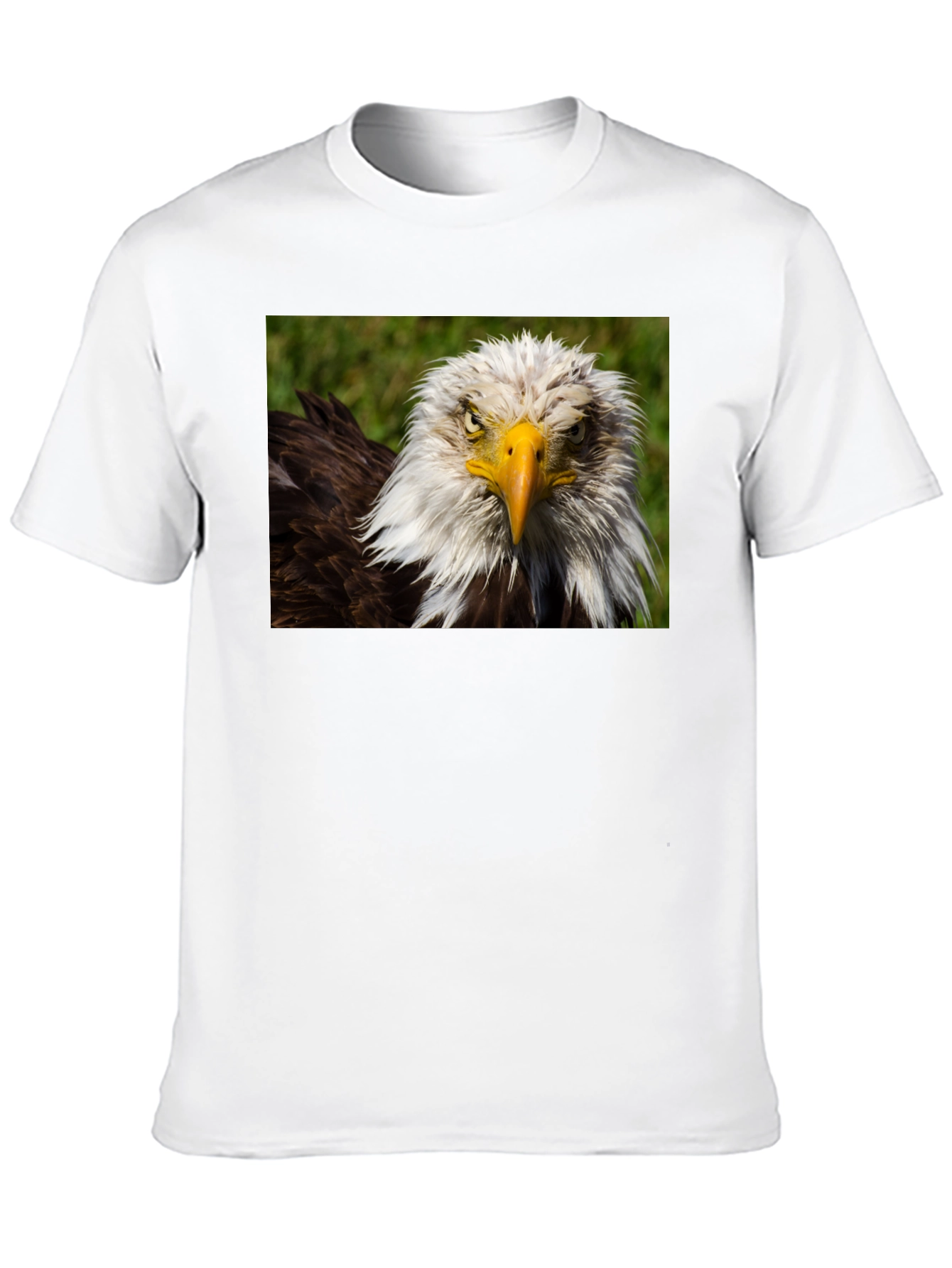 Bald Eagle Graphic T-Shirt - Bold American Style