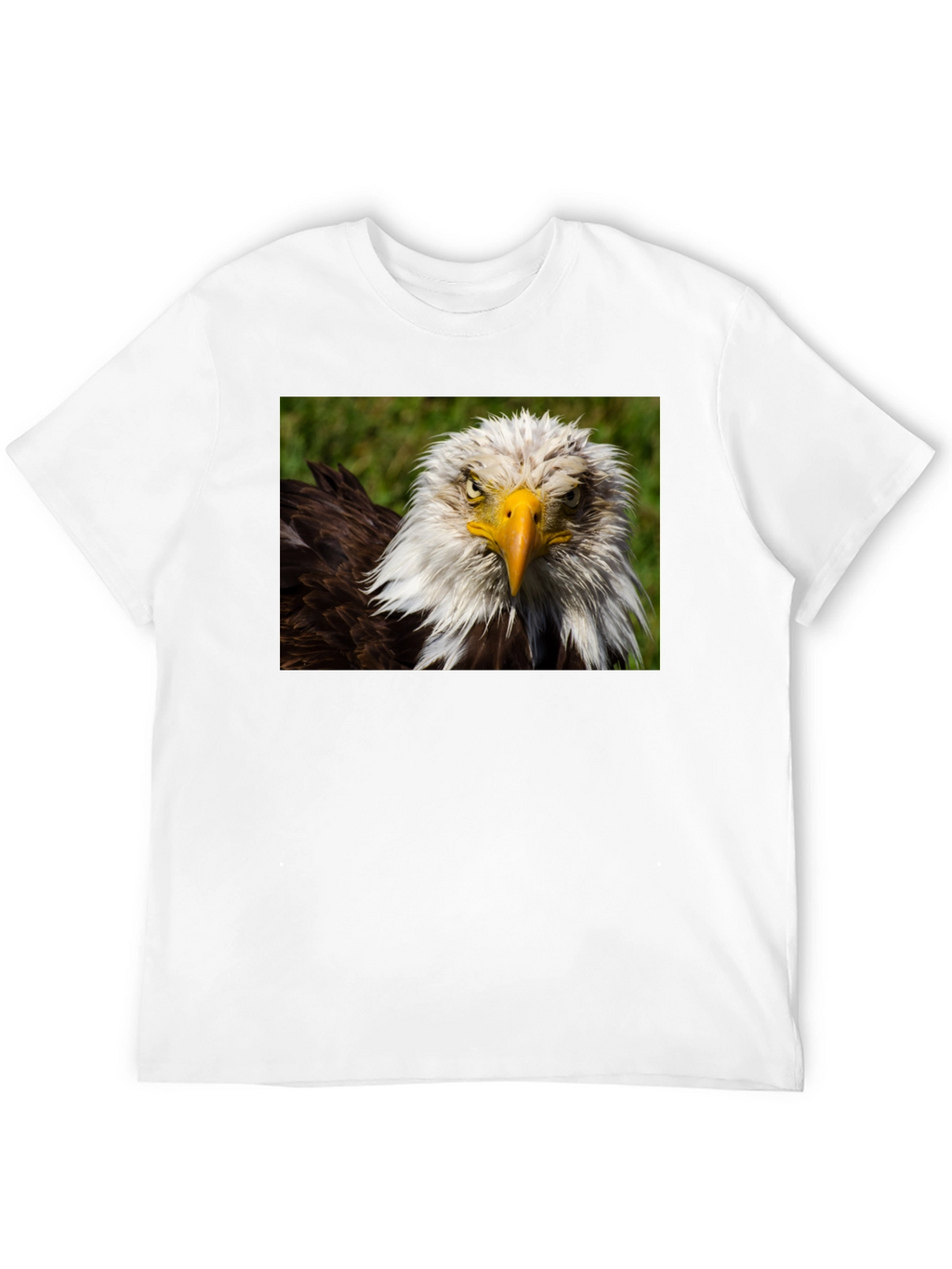 Bald Eagle Graphic T-Shirt - Bold American Style