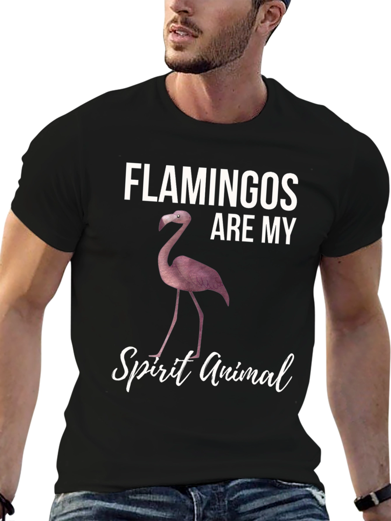 Flamingos Are My Spirit Animal T-Shirt