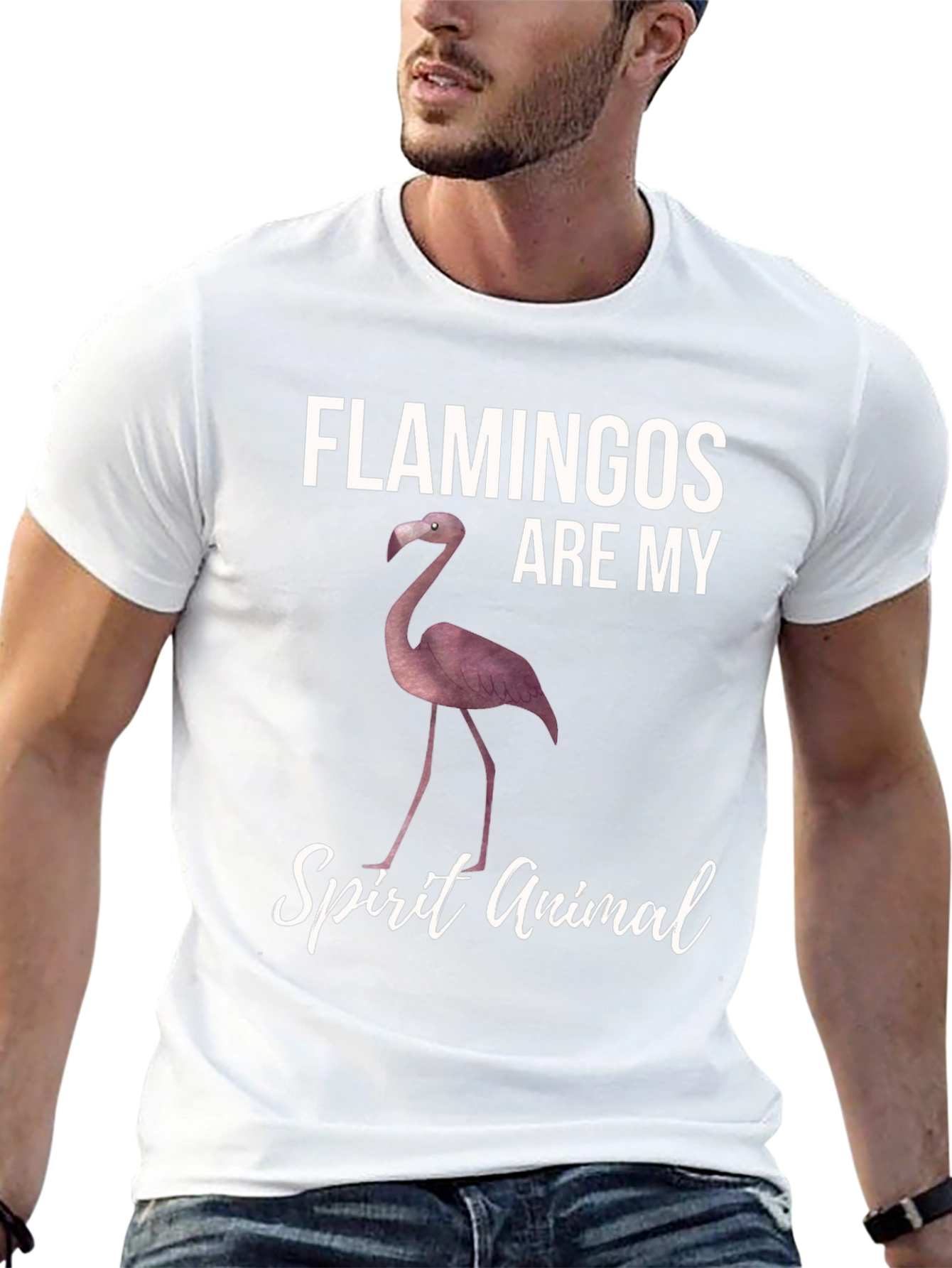 Flamingos Are My Spirit Animal T-Shirt