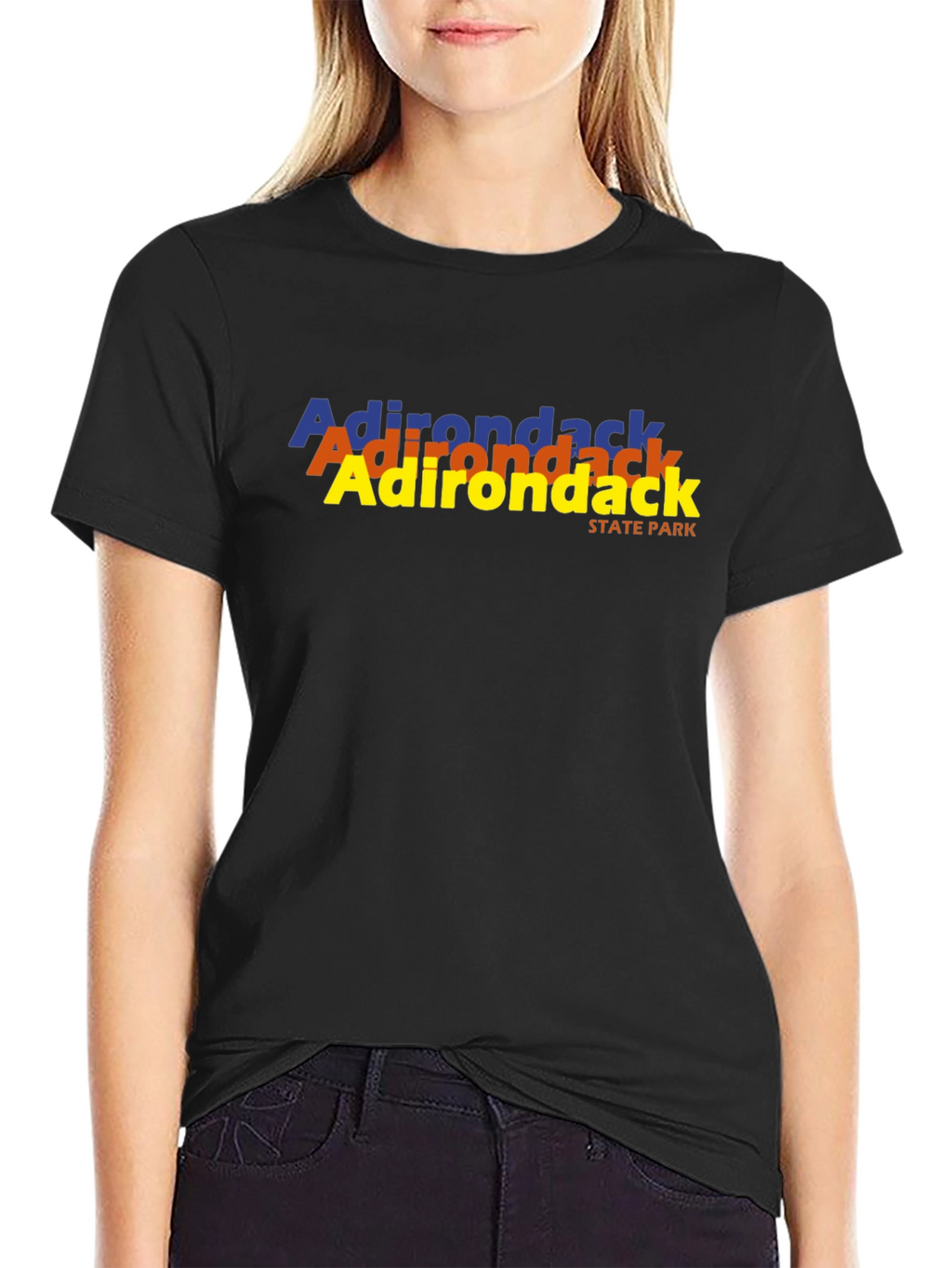 Adirondack State Park T-Shirt