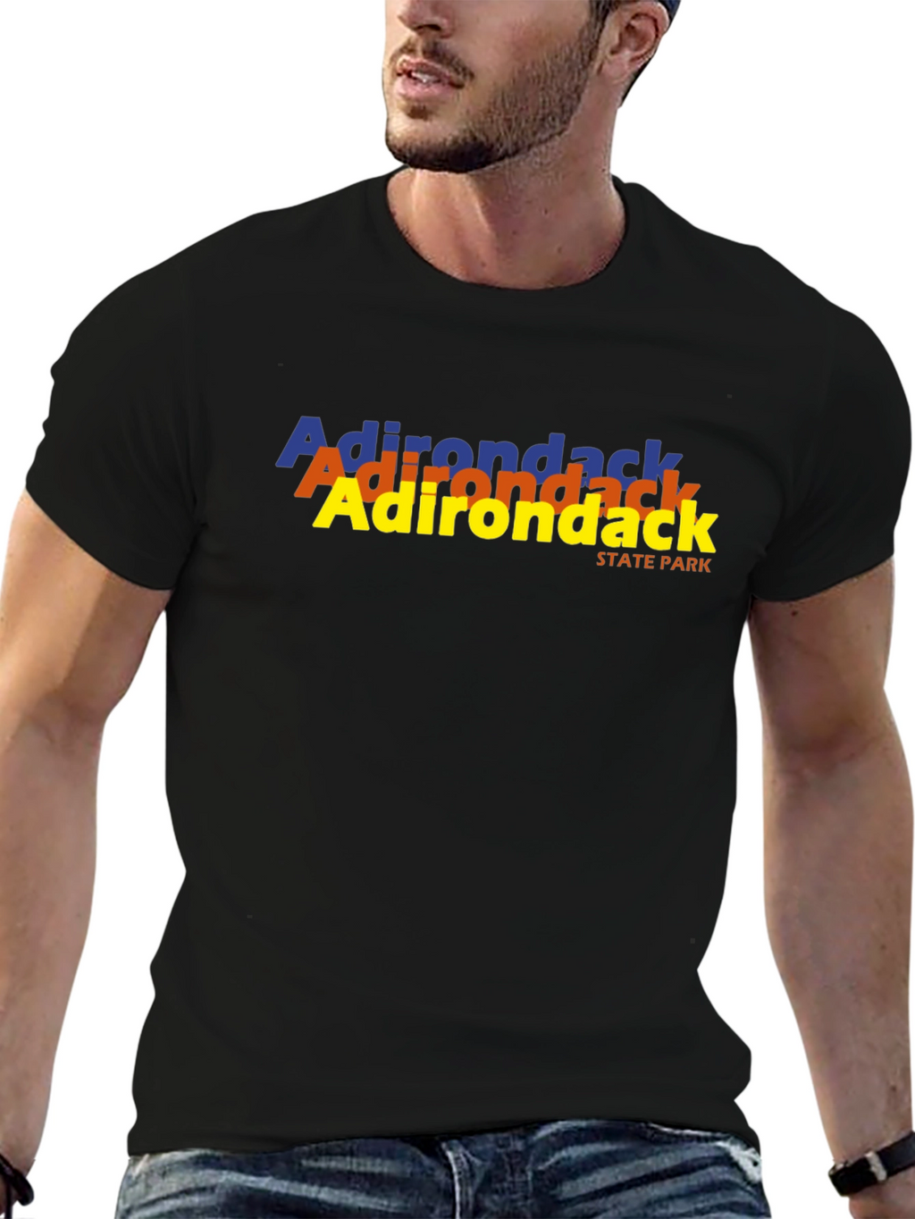 Adirondack State Park T-Shirt