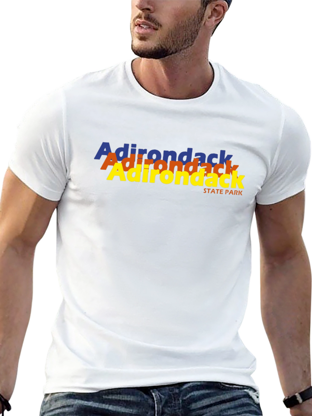 Adirondack State Park T-Shirt