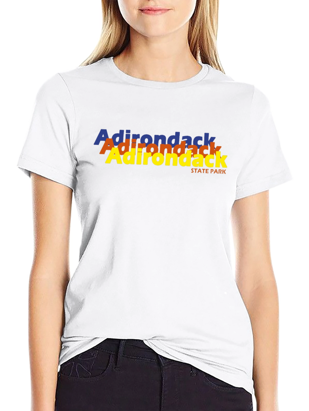 Adirondack State Park T-Shirt