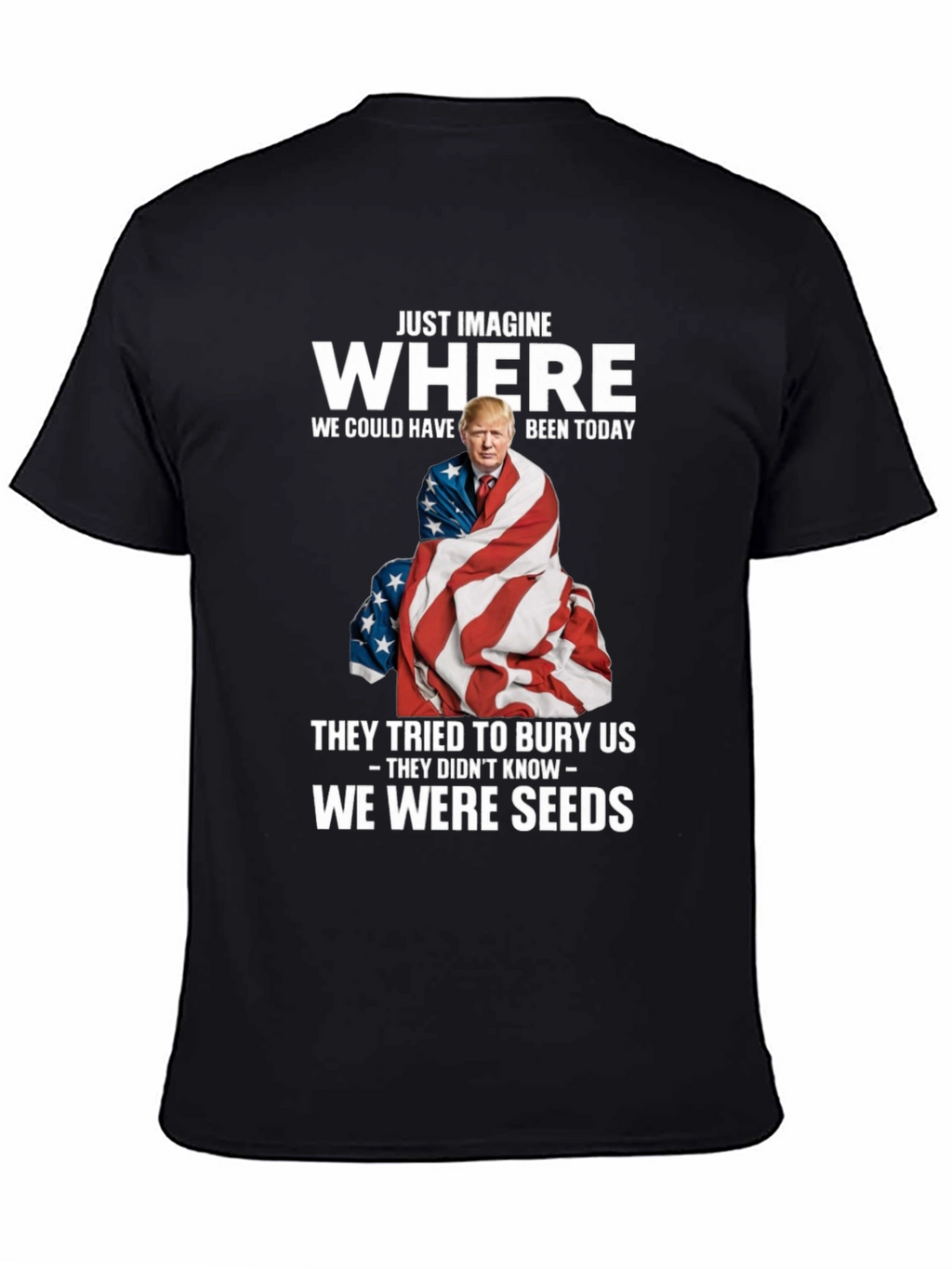 Imagine Where Trump T-Shirt - Patriotic Tee