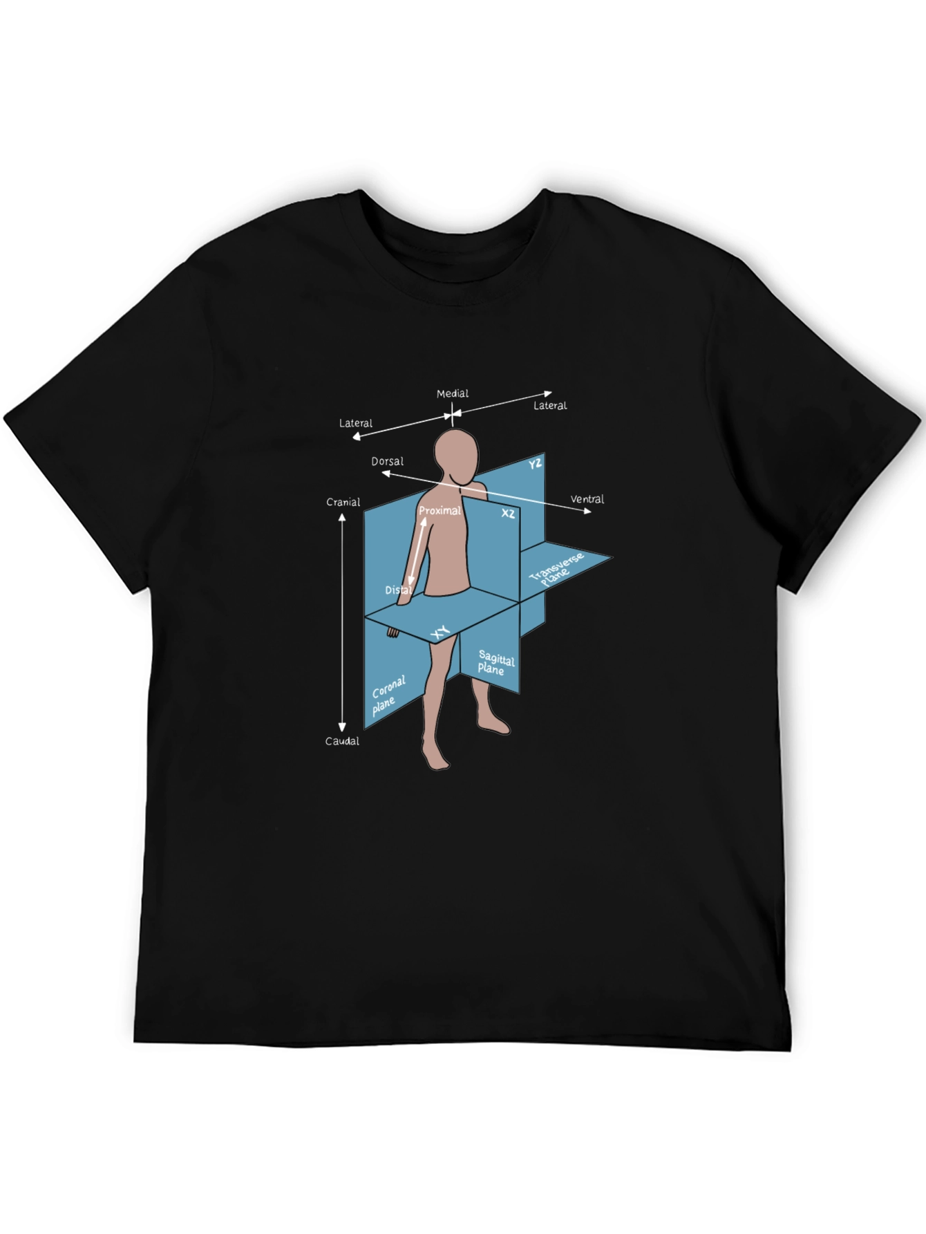 Anatomical Planes T-Shirt - Medical Student Gift