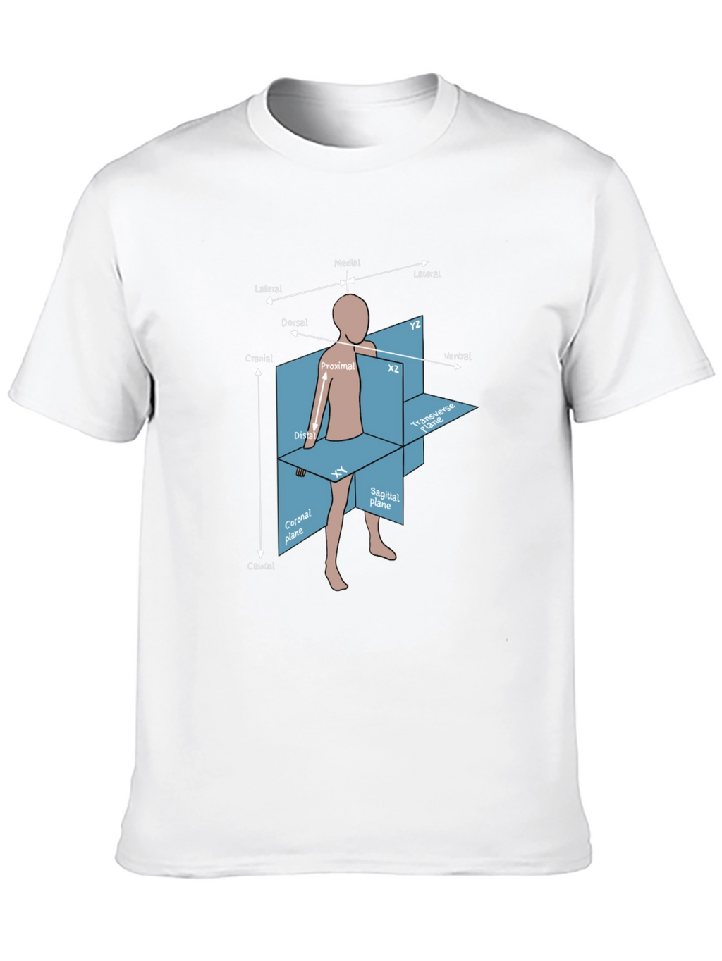 Anatomical Planes T-Shirt - Medical Student Gift