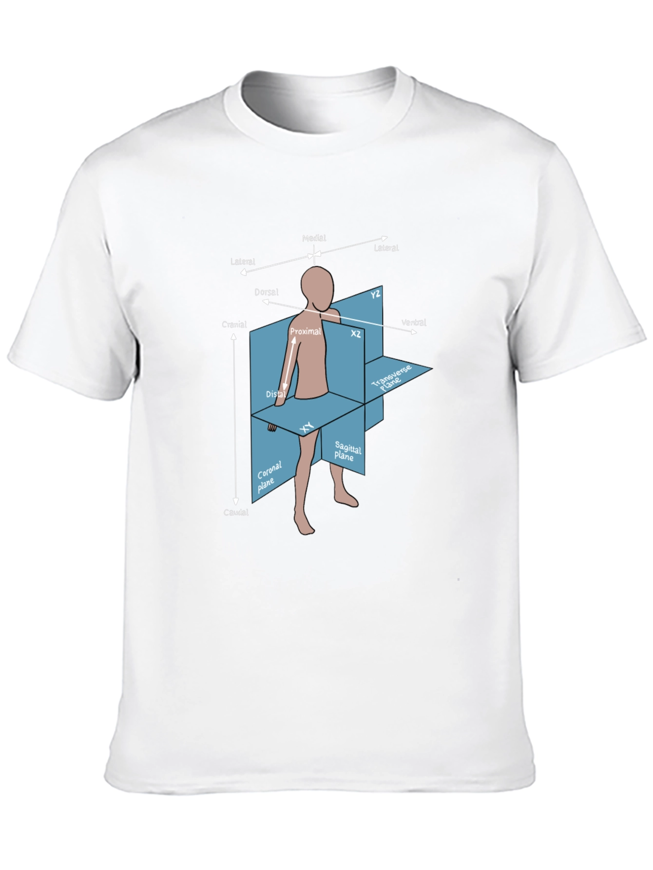 Anatomical Planes T-Shirt - Medical Student Gift