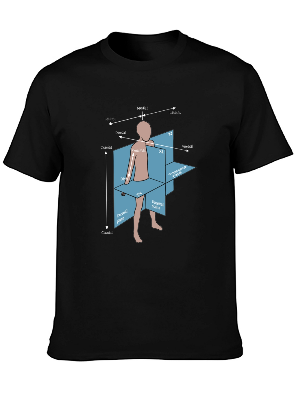 Anatomical Planes T-Shirt - Medical Student Gift