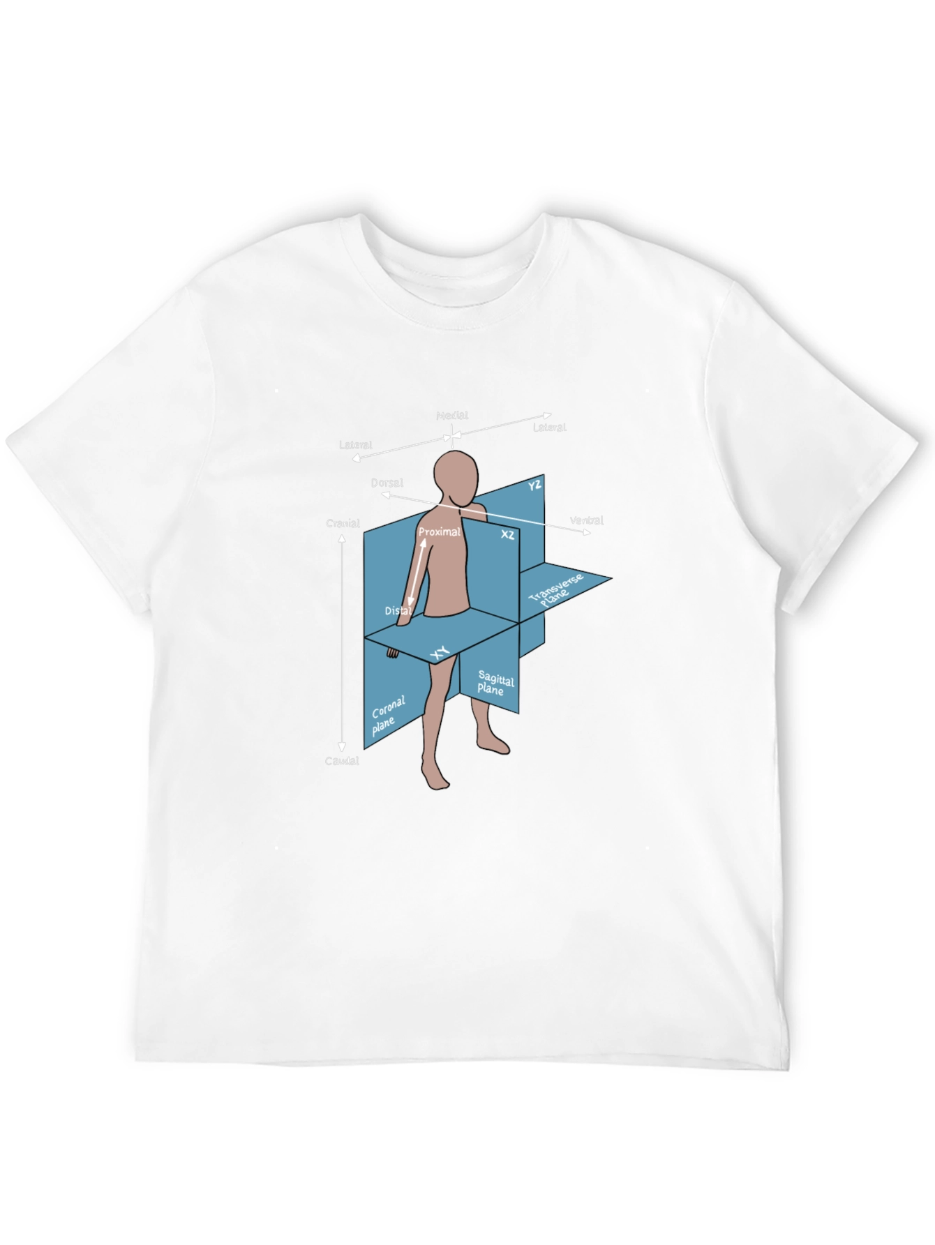 Anatomical Planes T-Shirt - Medical Student Gift