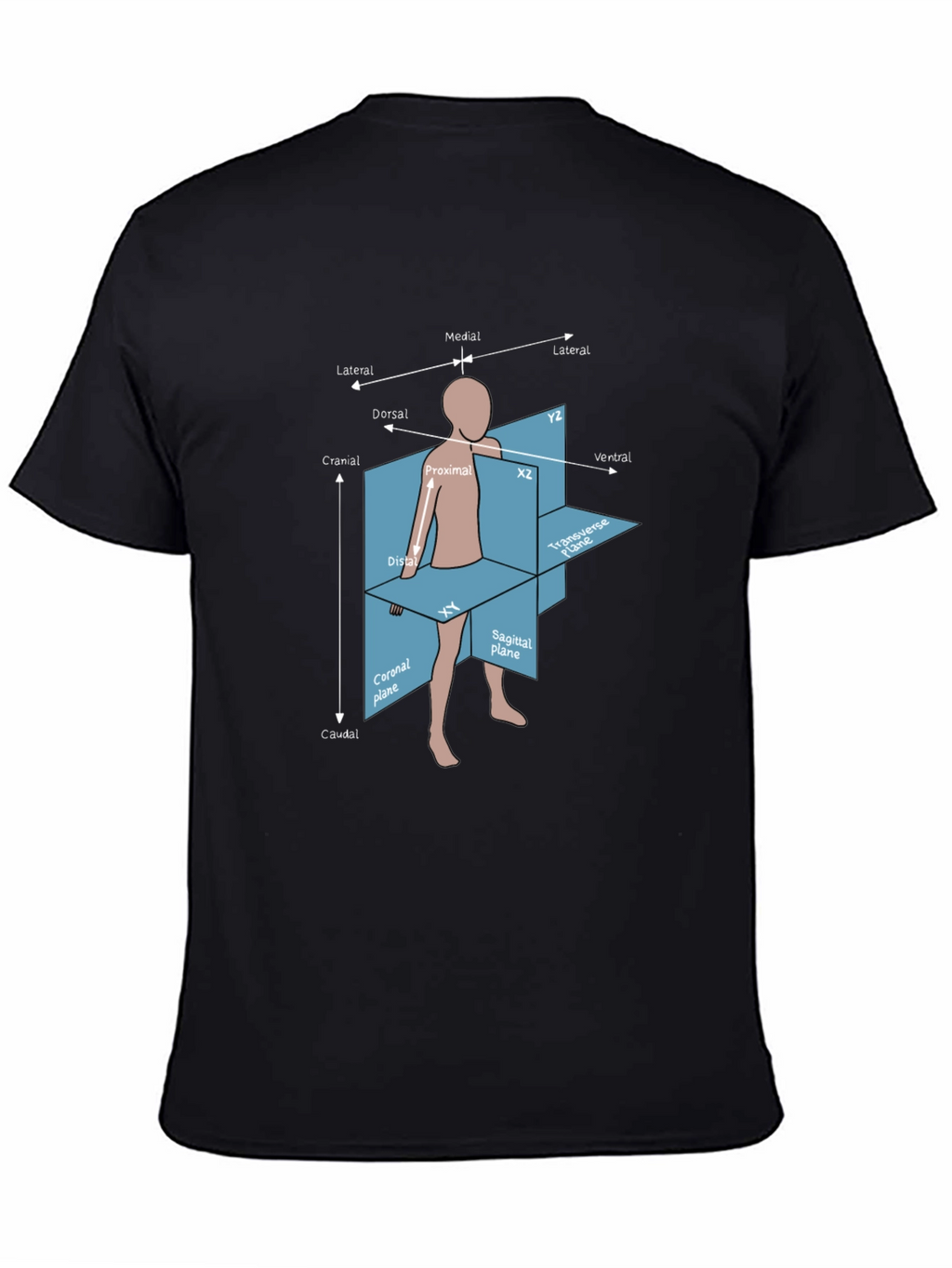 Anatomical Planes T-Shirt - Medical Student Gift