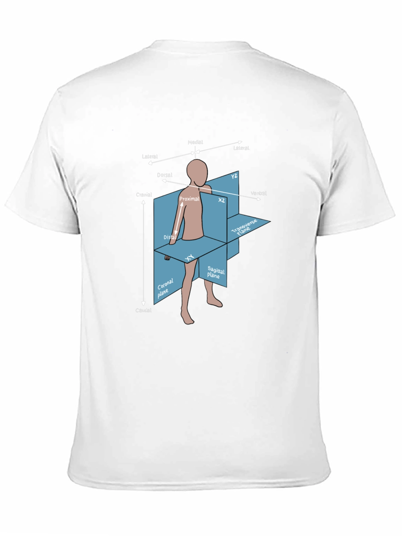 Anatomical Planes T-Shirt - Medical Student Gift