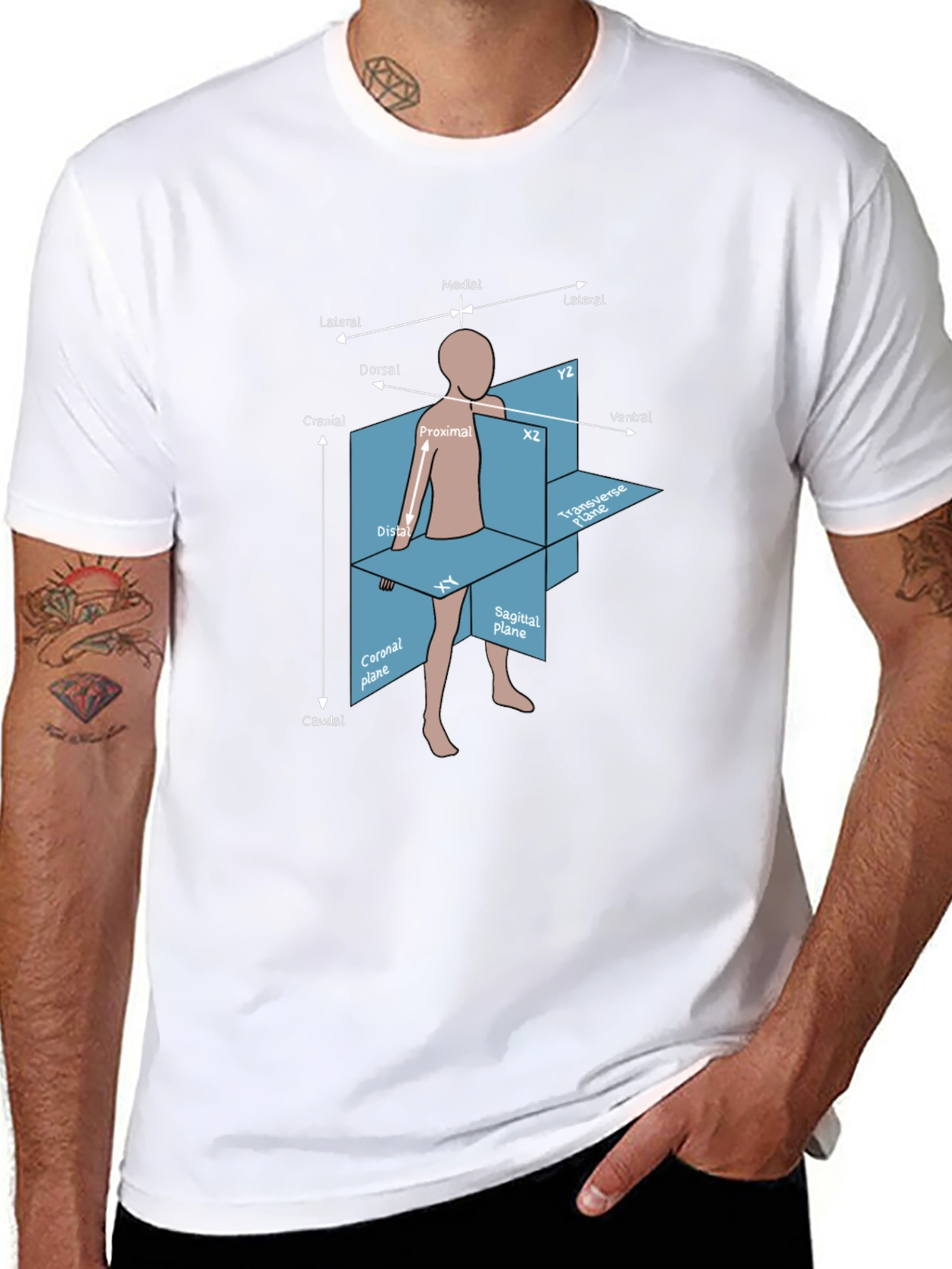 Anatomical Planes T-Shirt - Medical Student Gift