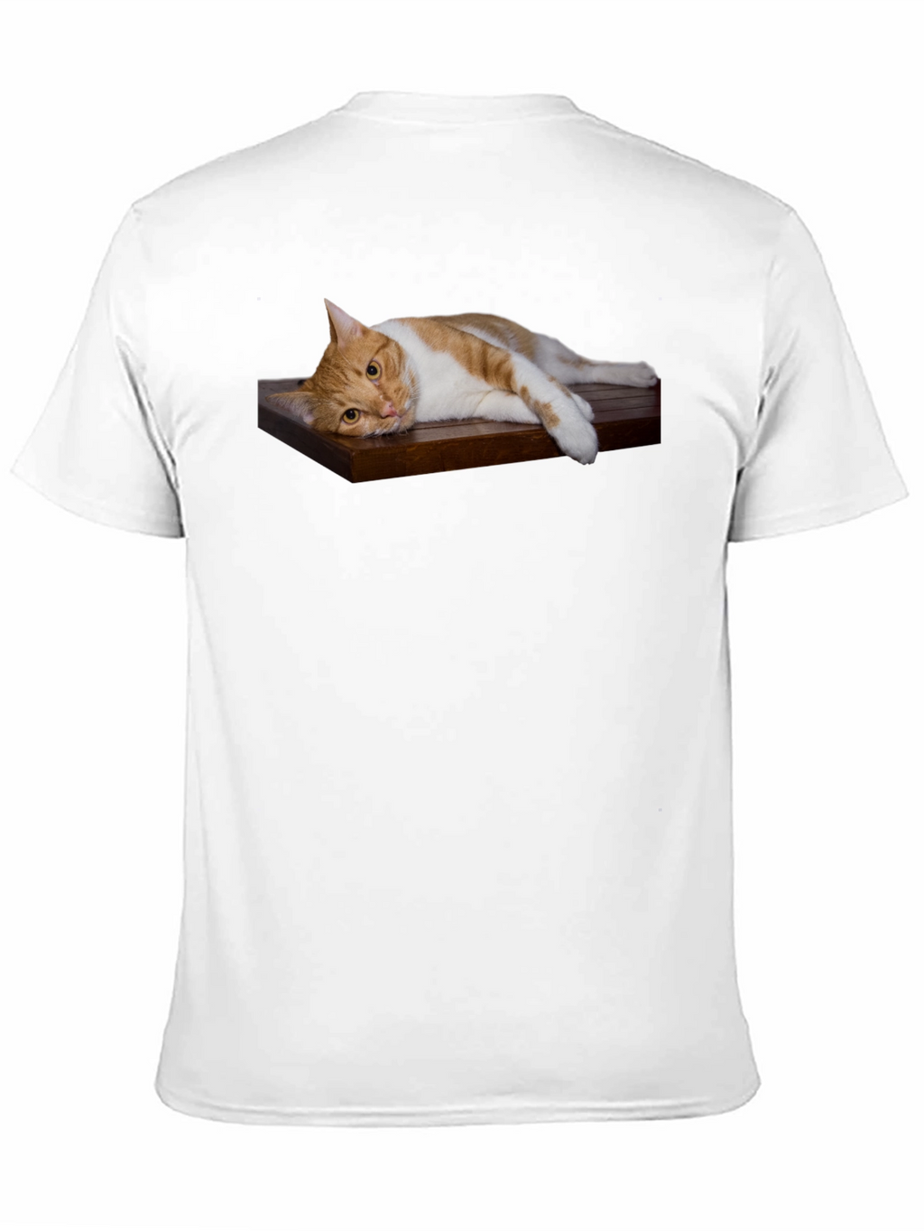 Cat on Wood Shelf Graphic Tee