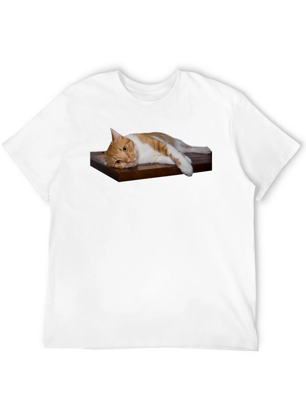 Cat on Wood Shelf Graphic Tee