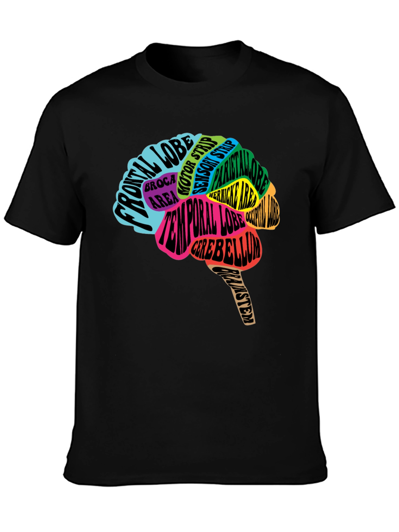 Anatomical Brain T-Shirt - Colorful Neurology Tee