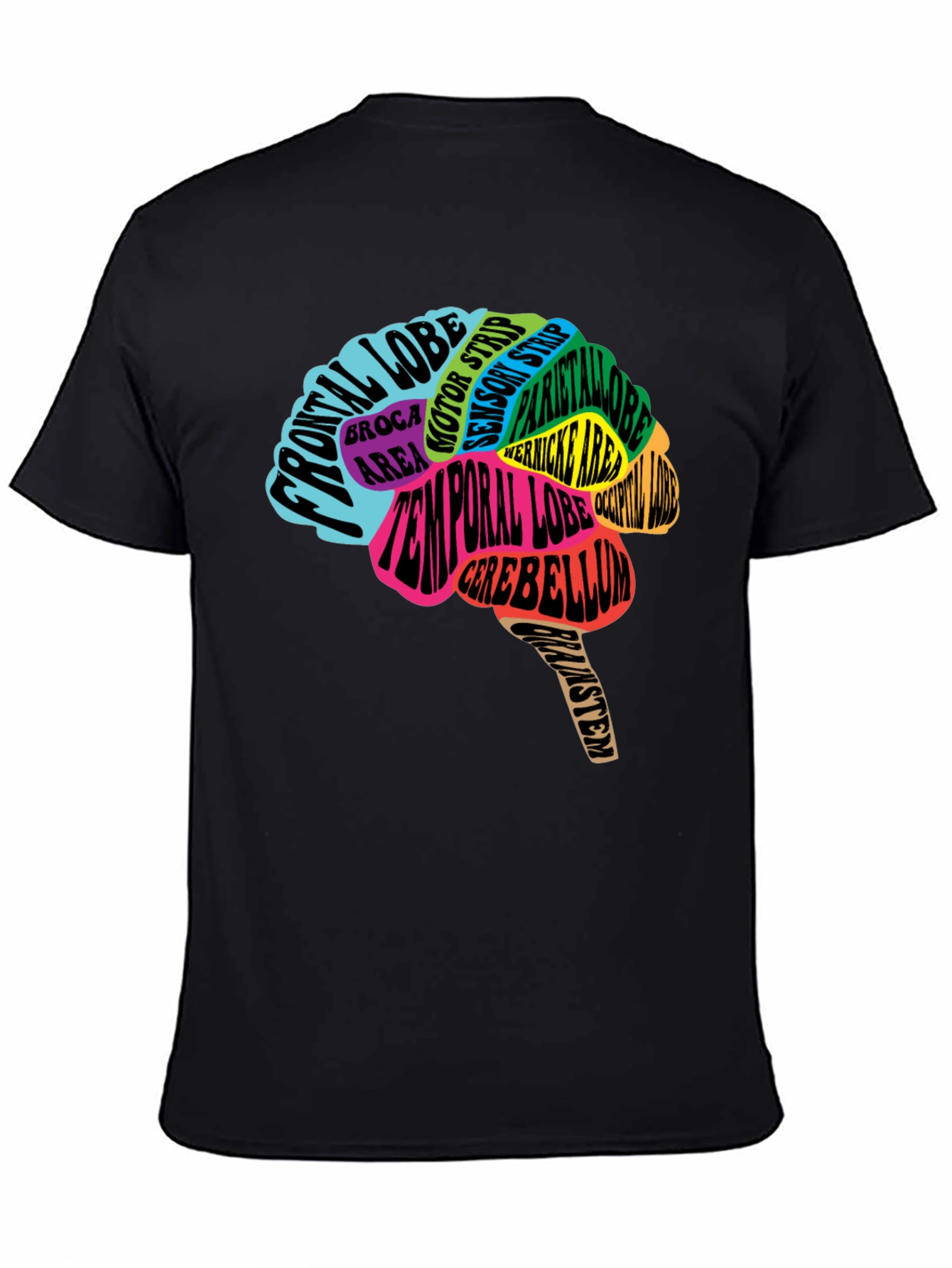 Anatomical Brain T-Shirt - Colorful Neurology Tee