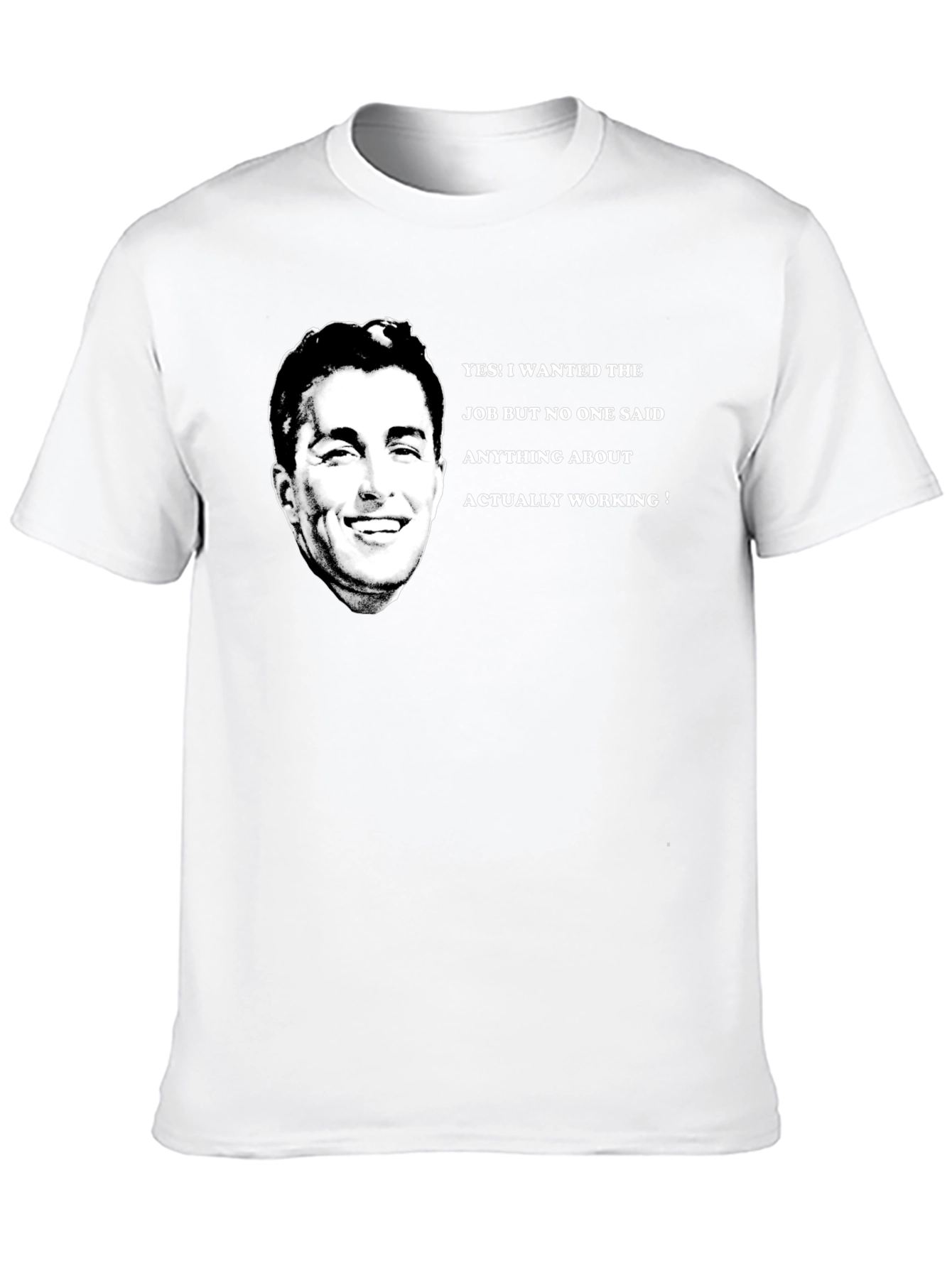 Funny Job T-Shirt - I Wanted The Job!