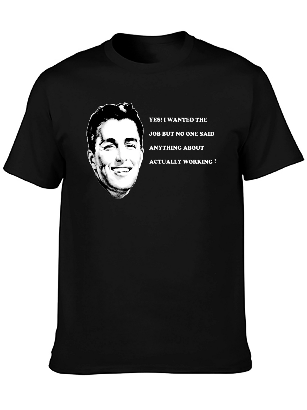 Funny Job T-Shirt - I Wanted The Job!