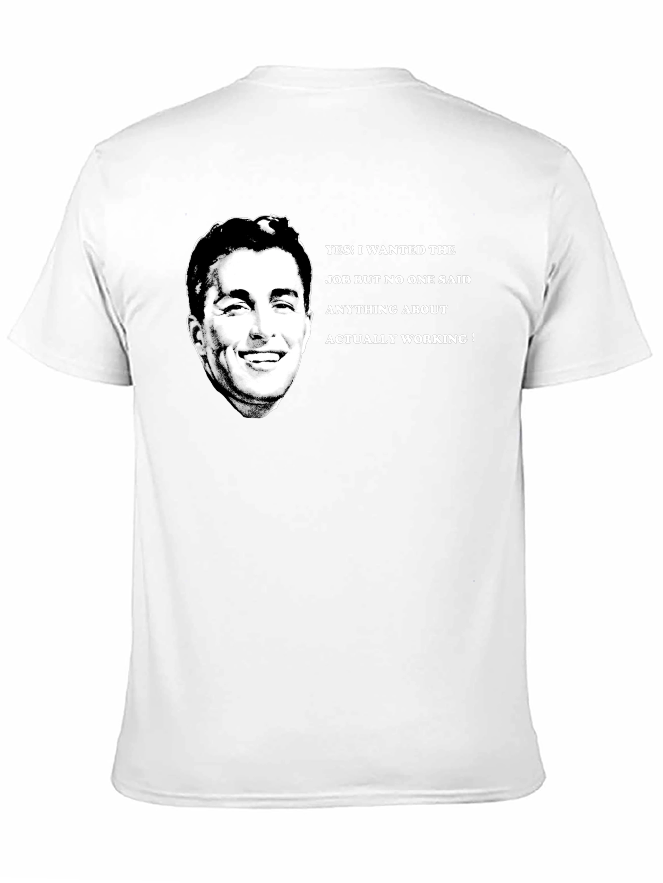 Funny Job T-Shirt - I Wanted The Job!