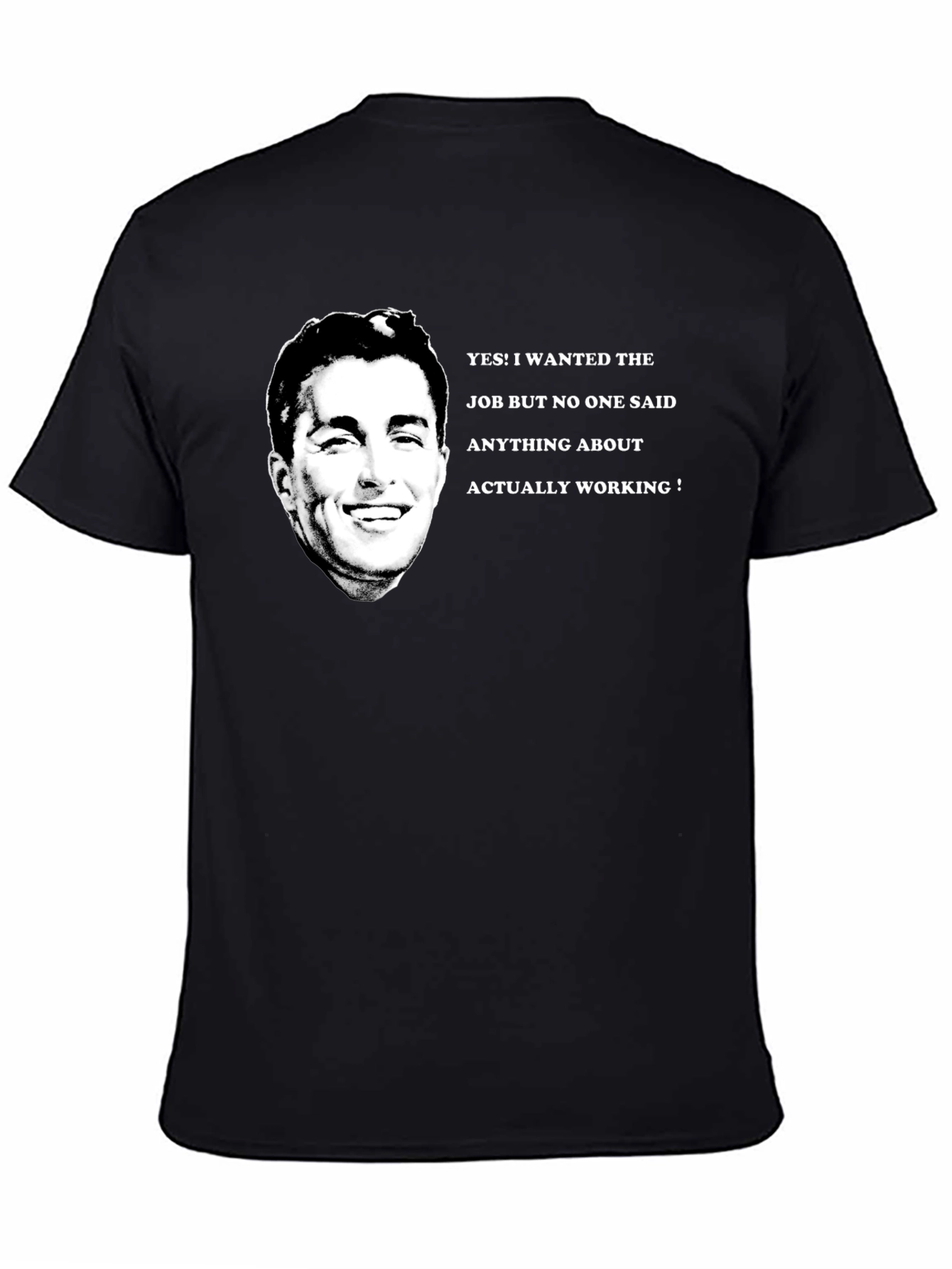 Funny Job T-Shirt - I Wanted The Job!