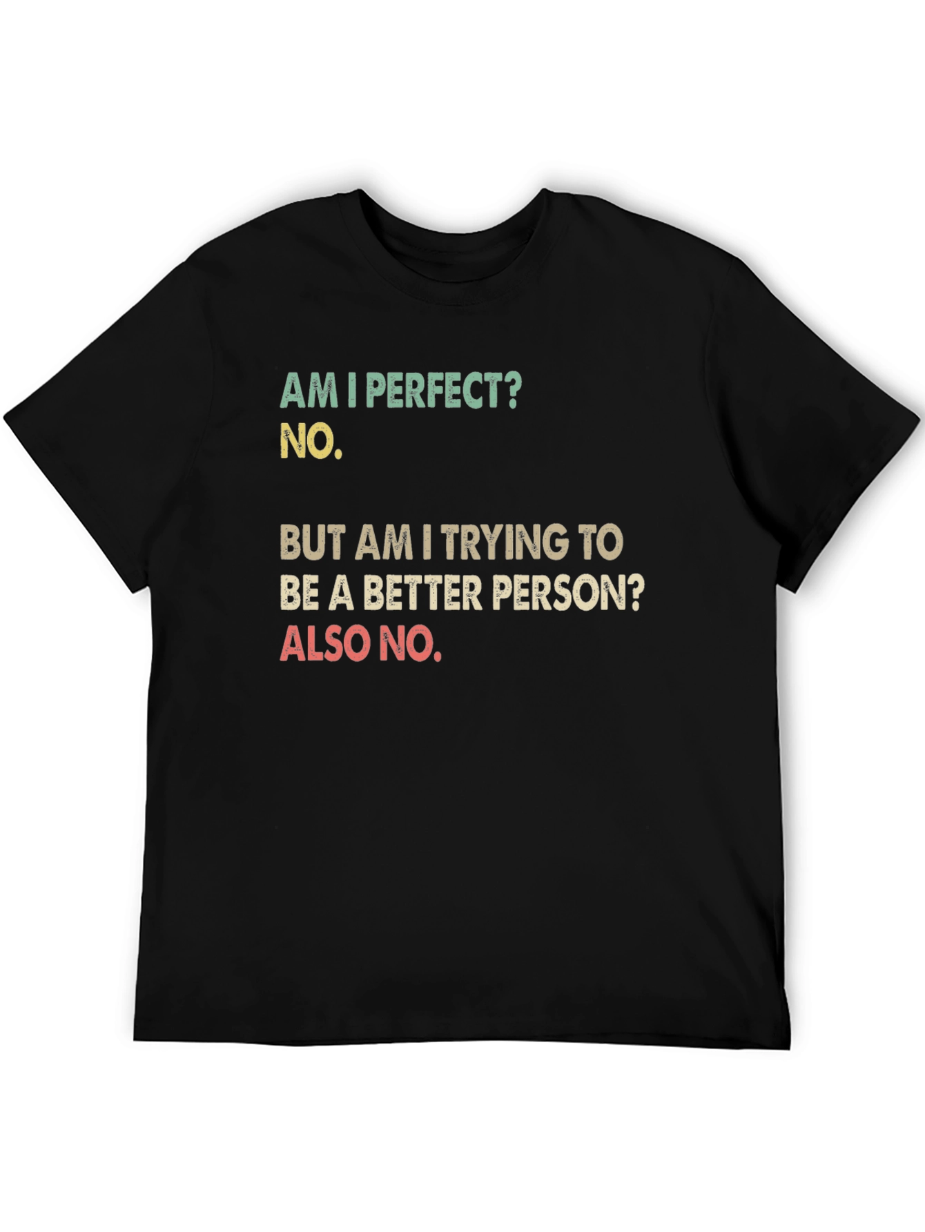 Funny T-Shirt: Am I Perfect? No. Novelty Tee