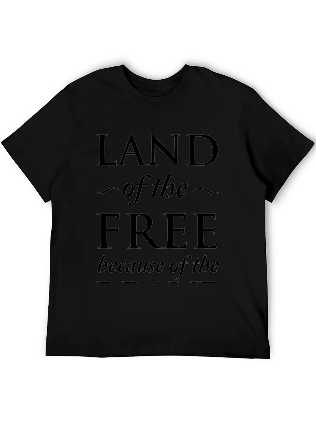 Land of the Free Graphic Print Tee