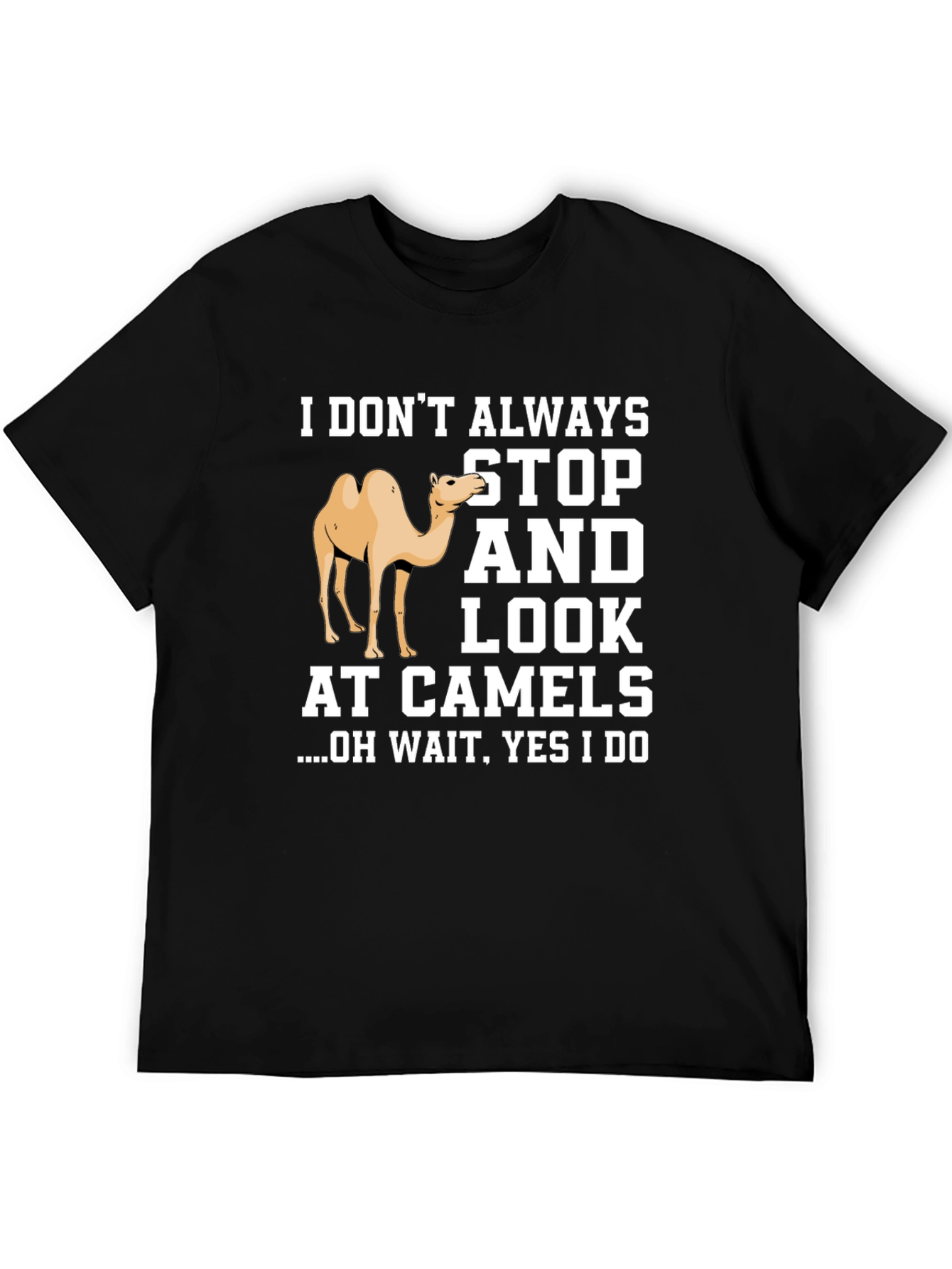 Funny Camel Graphic T-Shirt - I Always Stop and Look