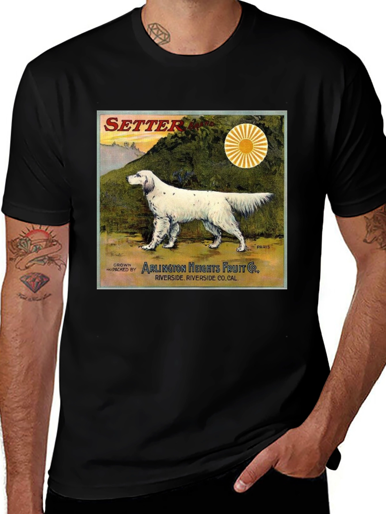 Vintage Setter Dog T-Shirt