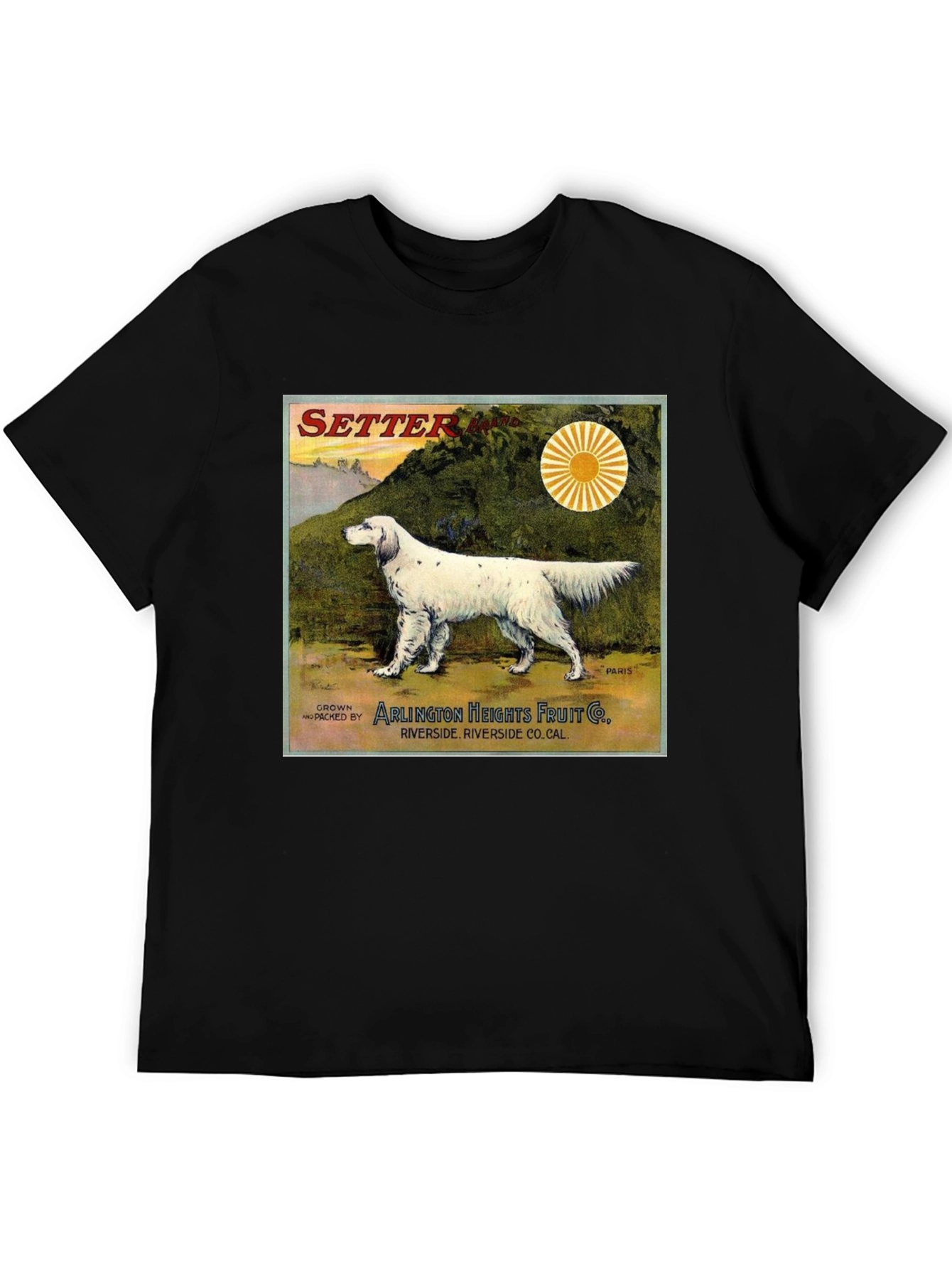 Vintage Setter Dog T-Shirt