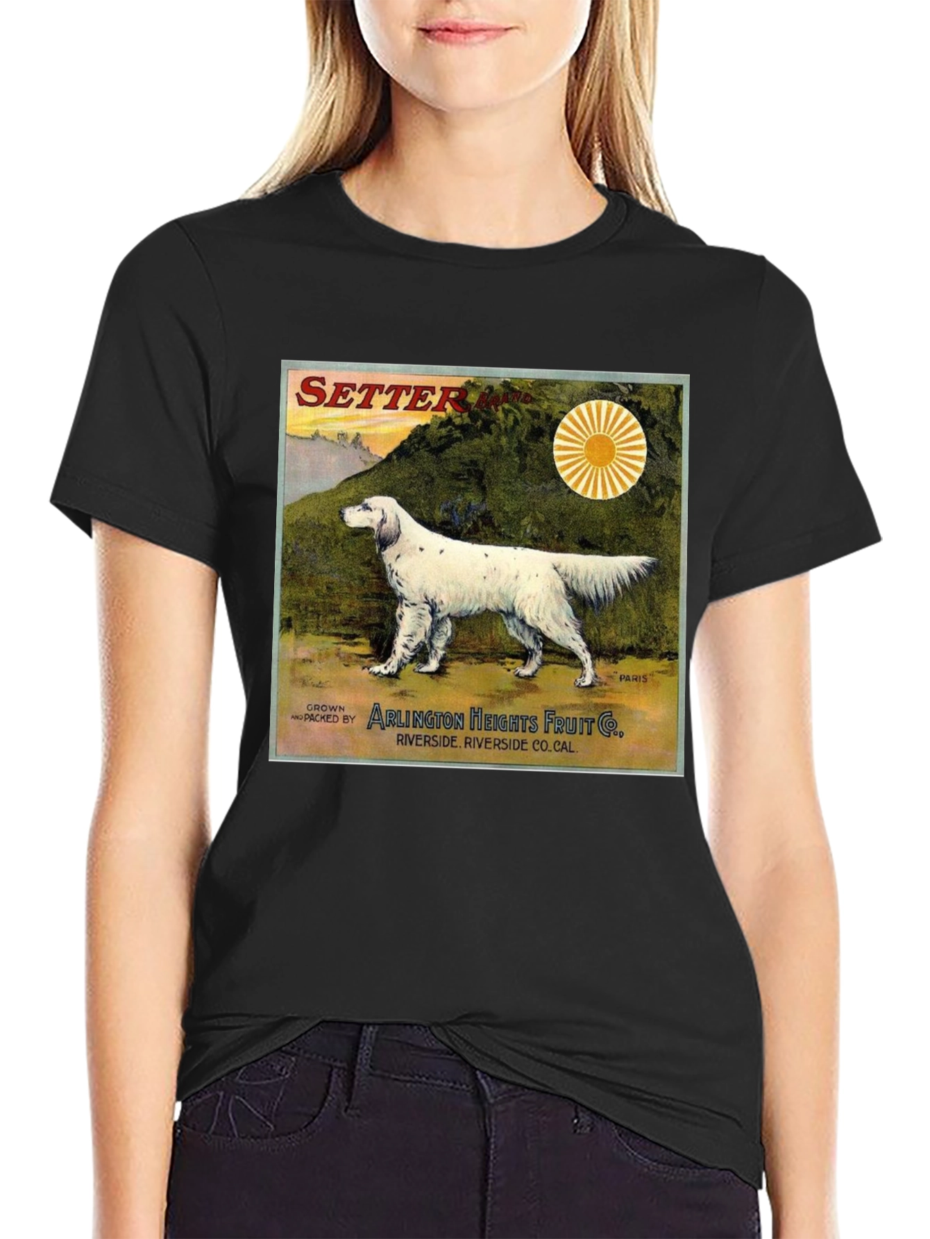 Vintage Setter Dog T-Shirt
