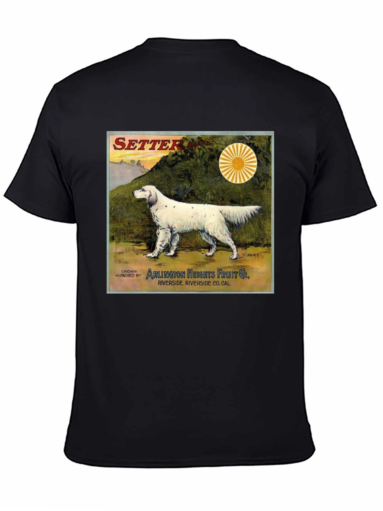 Vintage Setter Dog T-Shirt