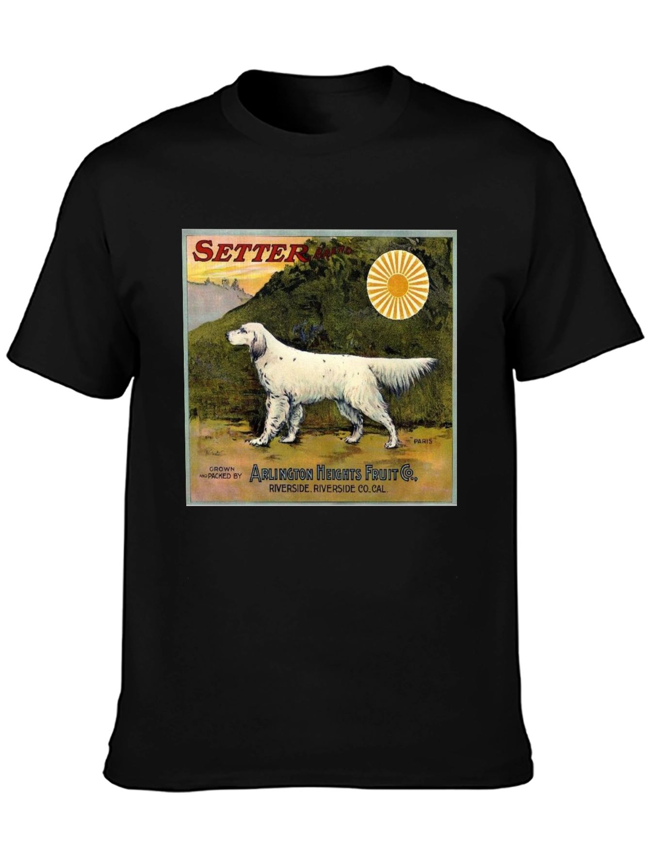 Vintage Setter Dog T-Shirt
