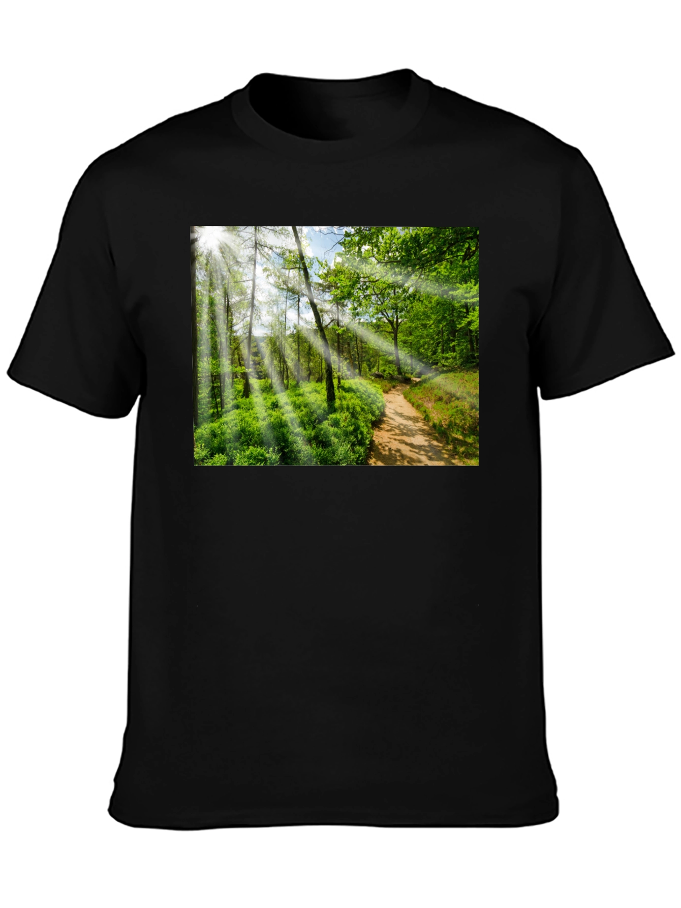 Nature Walk Graphic T-Shirt