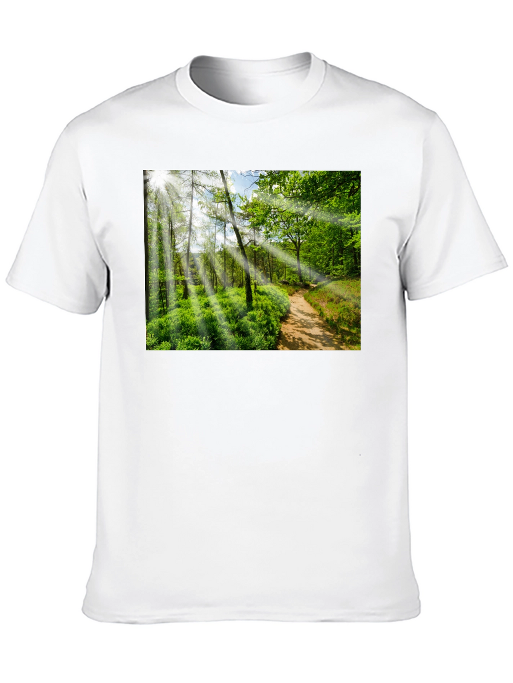 Nature Walk Graphic T-Shirt