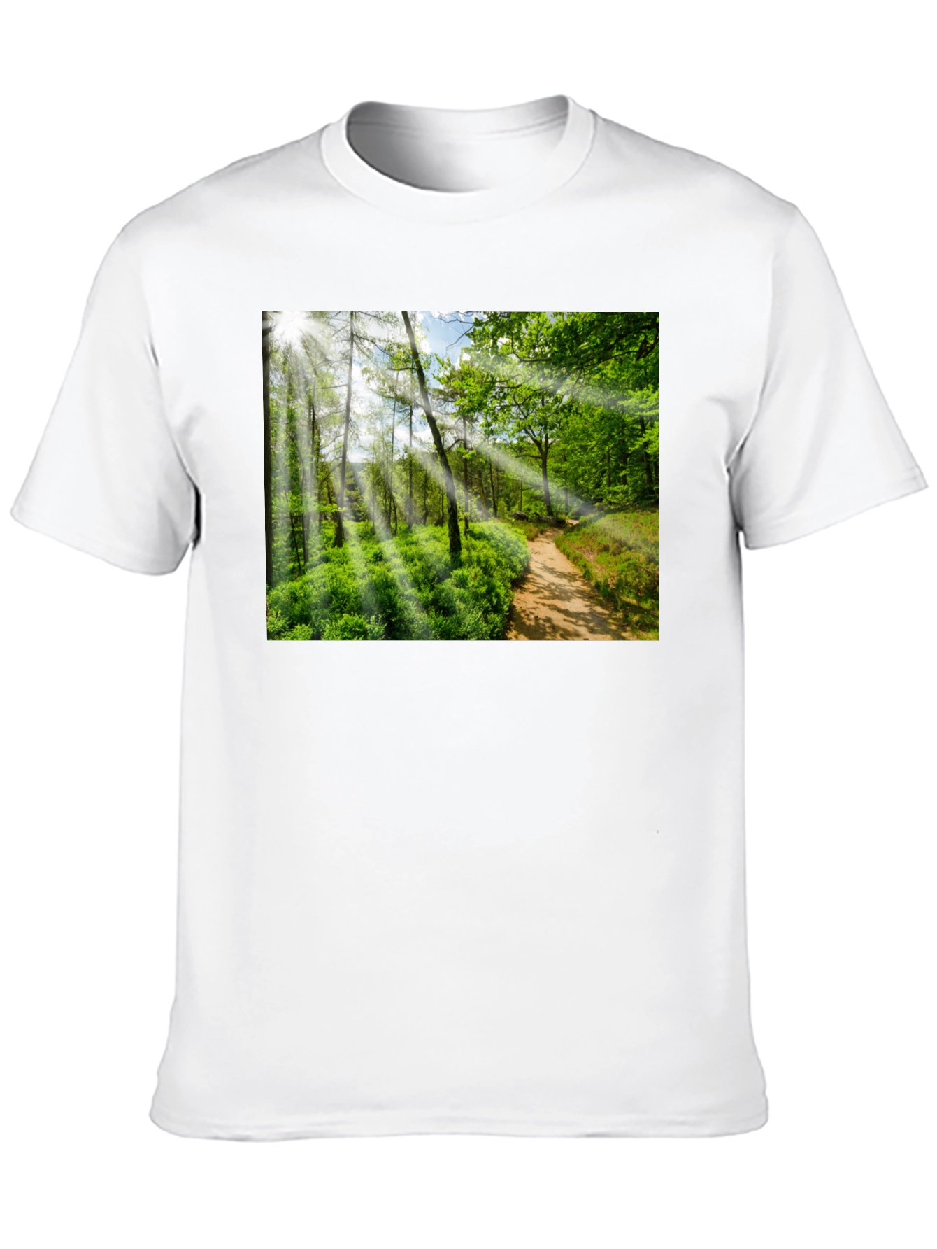 Nature Walk Graphic T-Shirt