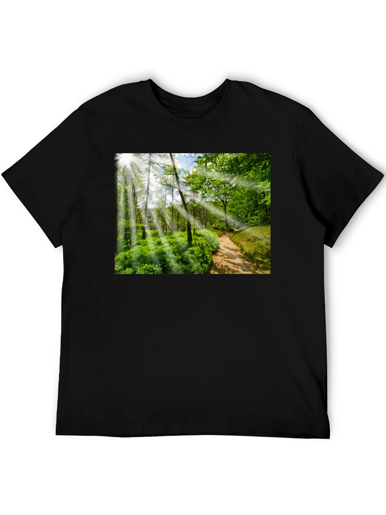 Nature Walk Graphic T-Shirt