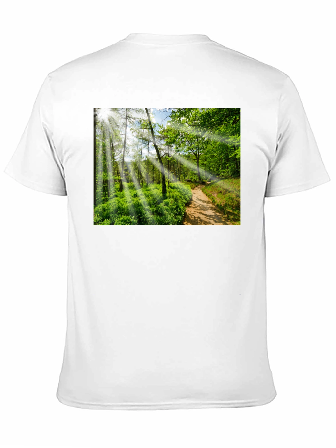 Nature Walk Graphic T-Shirt