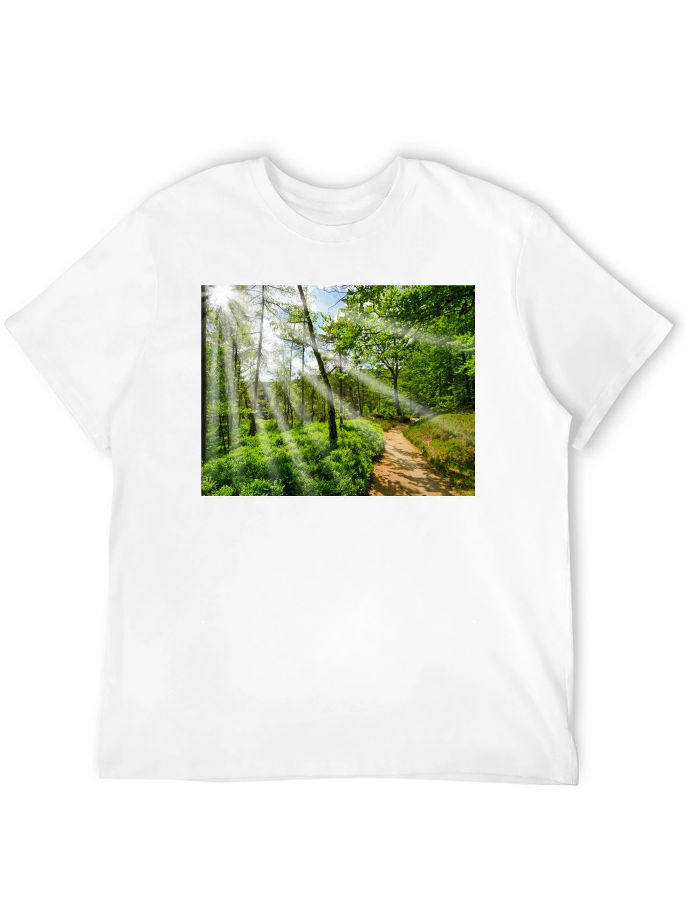 Nature Walk Graphic T-Shirt