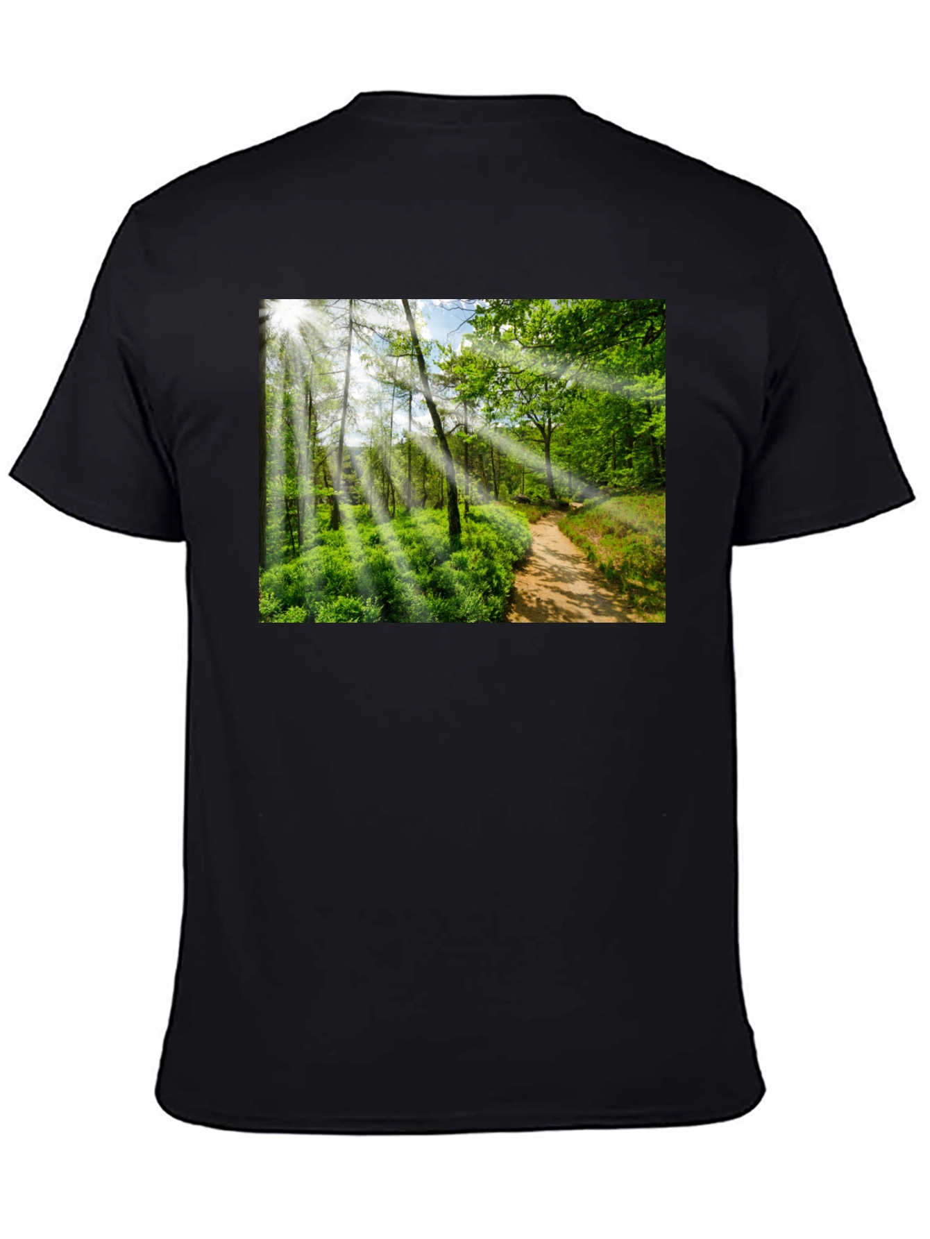 Nature Walk Graphic T-Shirt