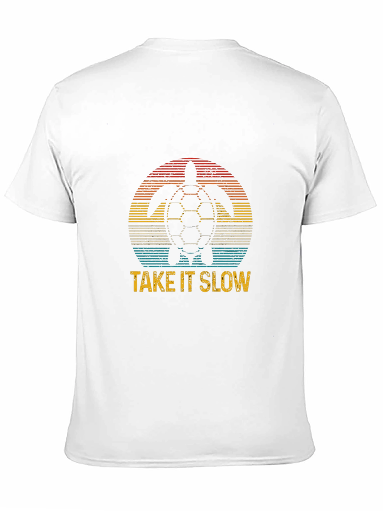 Take It Slow Turtle Graphic Tee