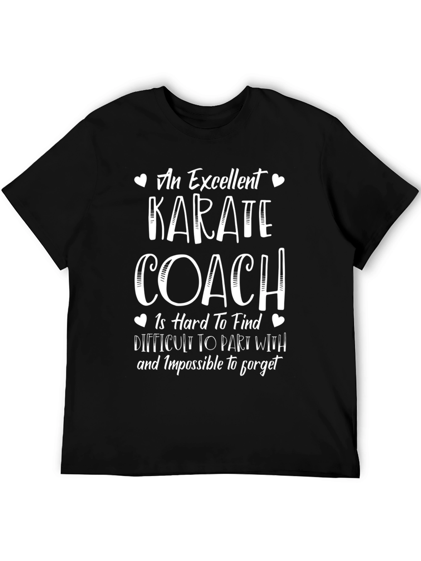 Karate Coach T-Shirt: Excellent Hard to Find Design